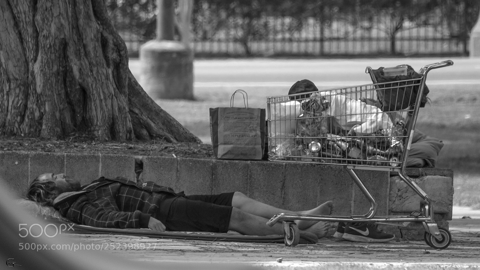 Nikon D7000 sample photo. Sleeping in the park 2 photography