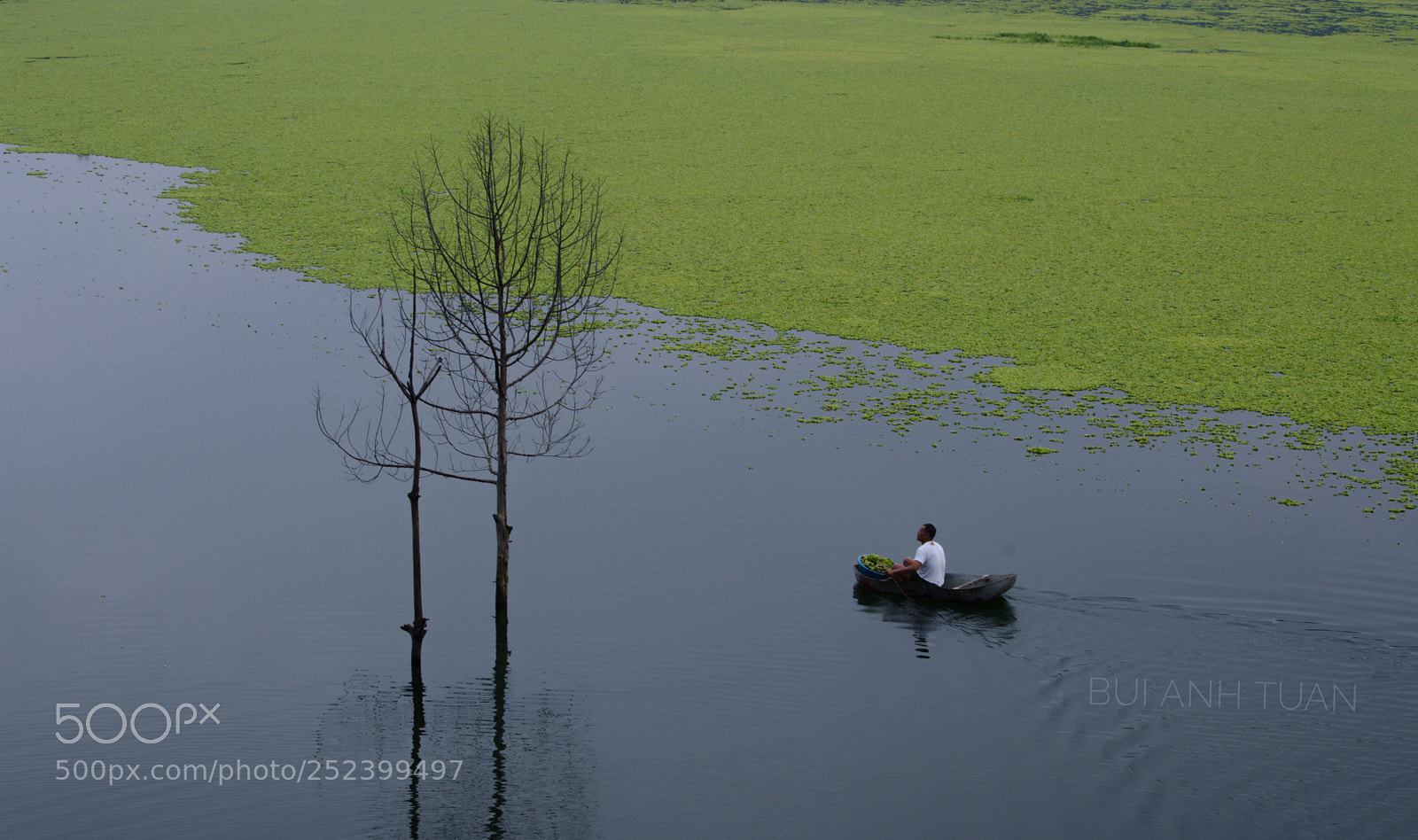 Nikon D3200 sample photo. Untitled photography