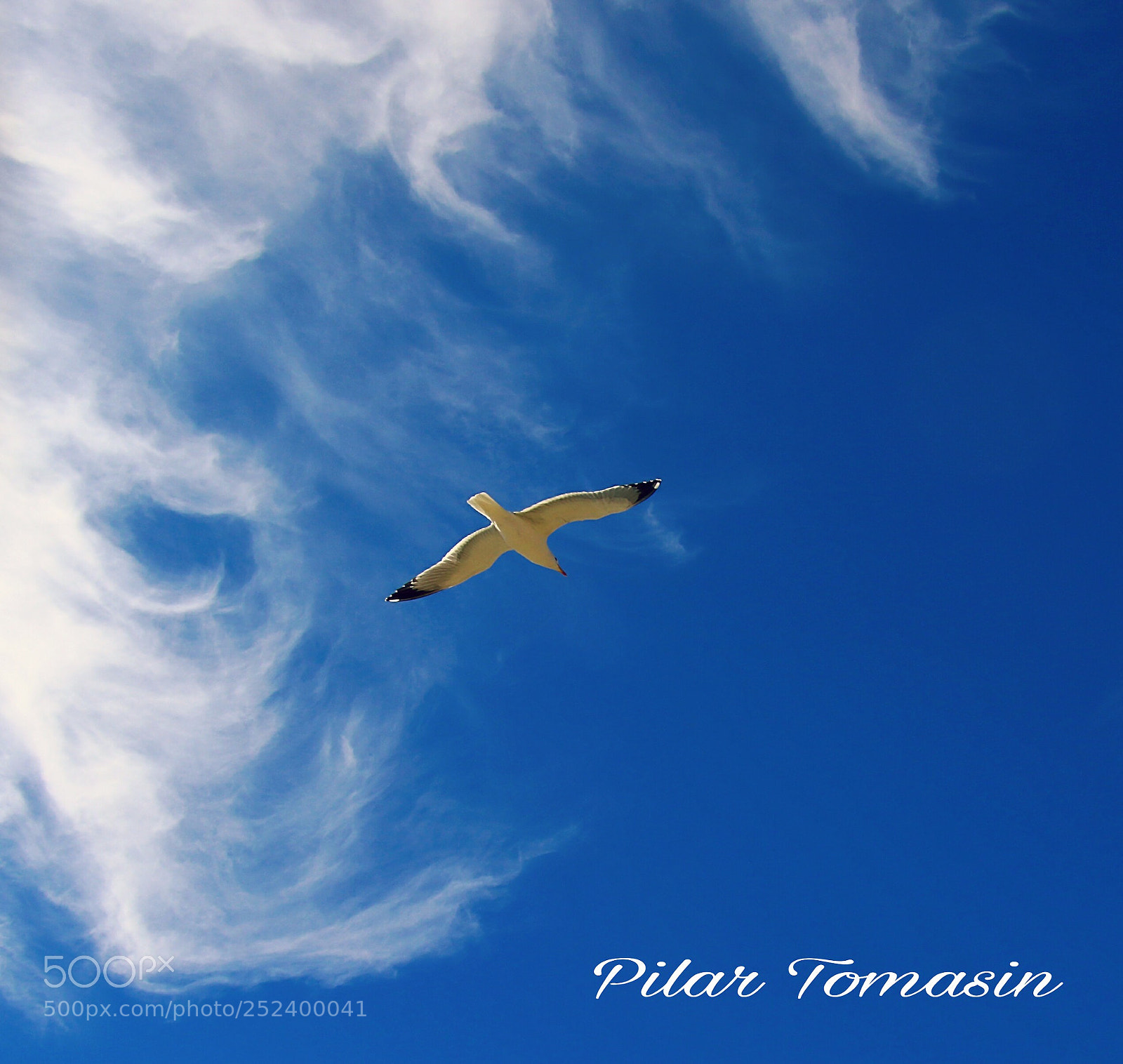 Canon EOS 70D sample photo. Perseguida por las nubes photography