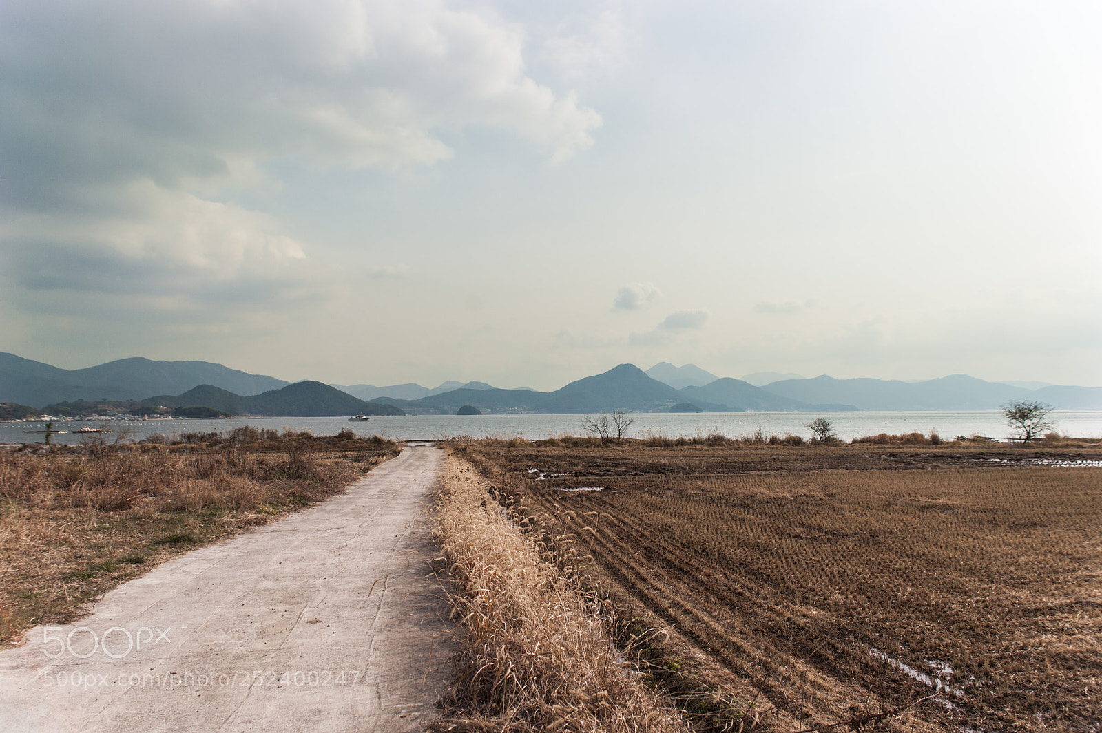 Nikon D700 sample photo. In a town photography