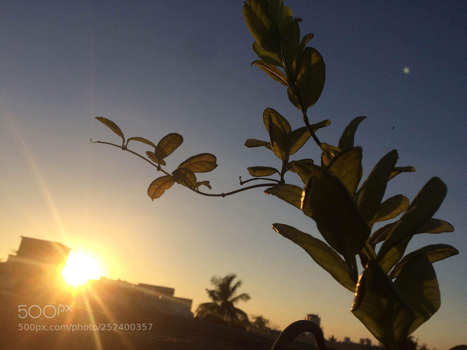 Apple iPhone 5s sample photo. She is all day photography
