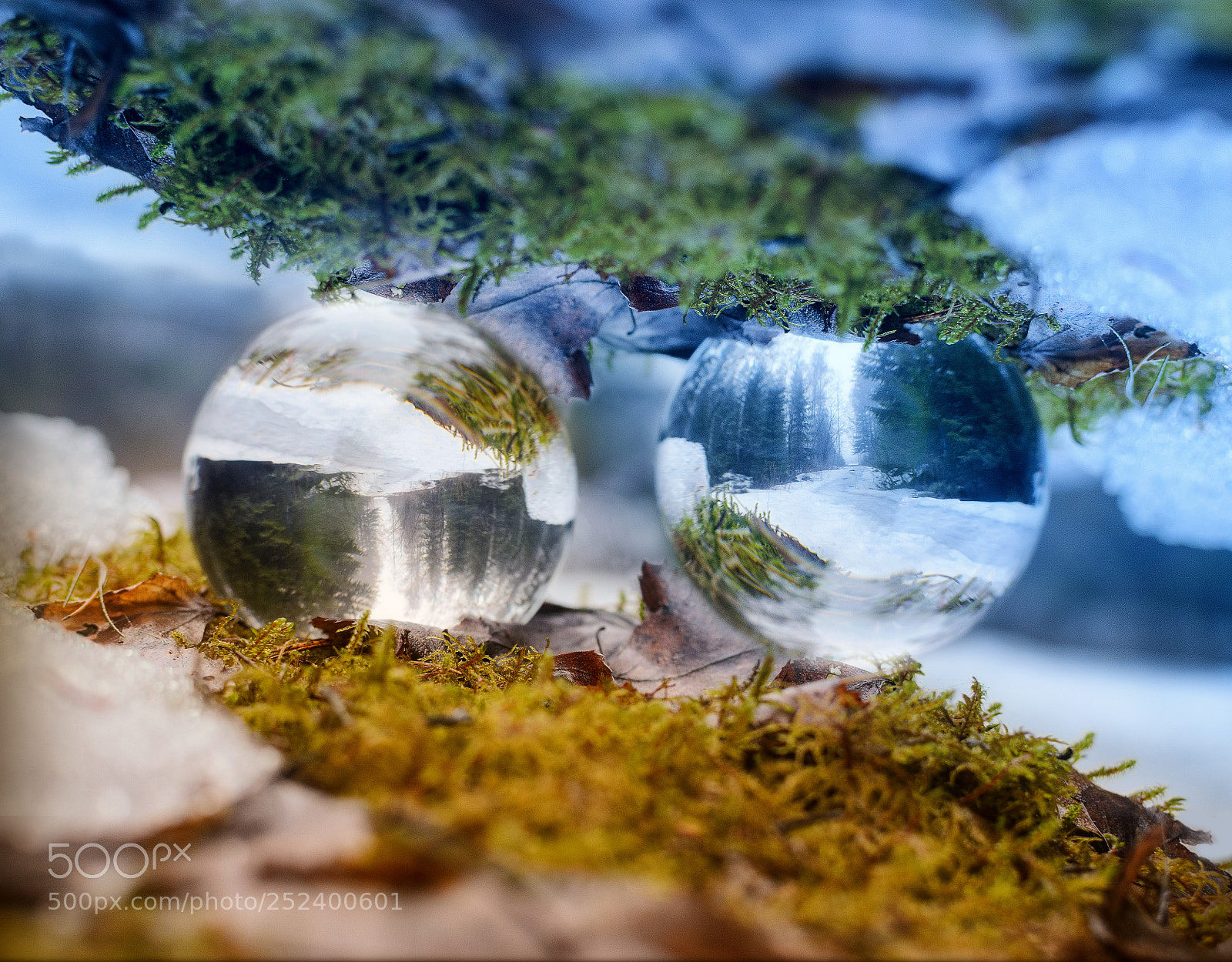 Nikon D7000 sample photo. Parallel universe photography