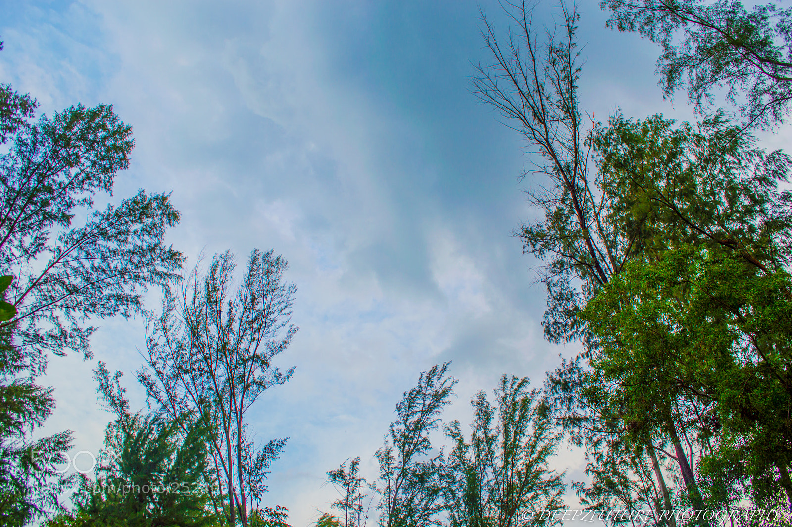 Nikon D3200 sample photo. Life photography