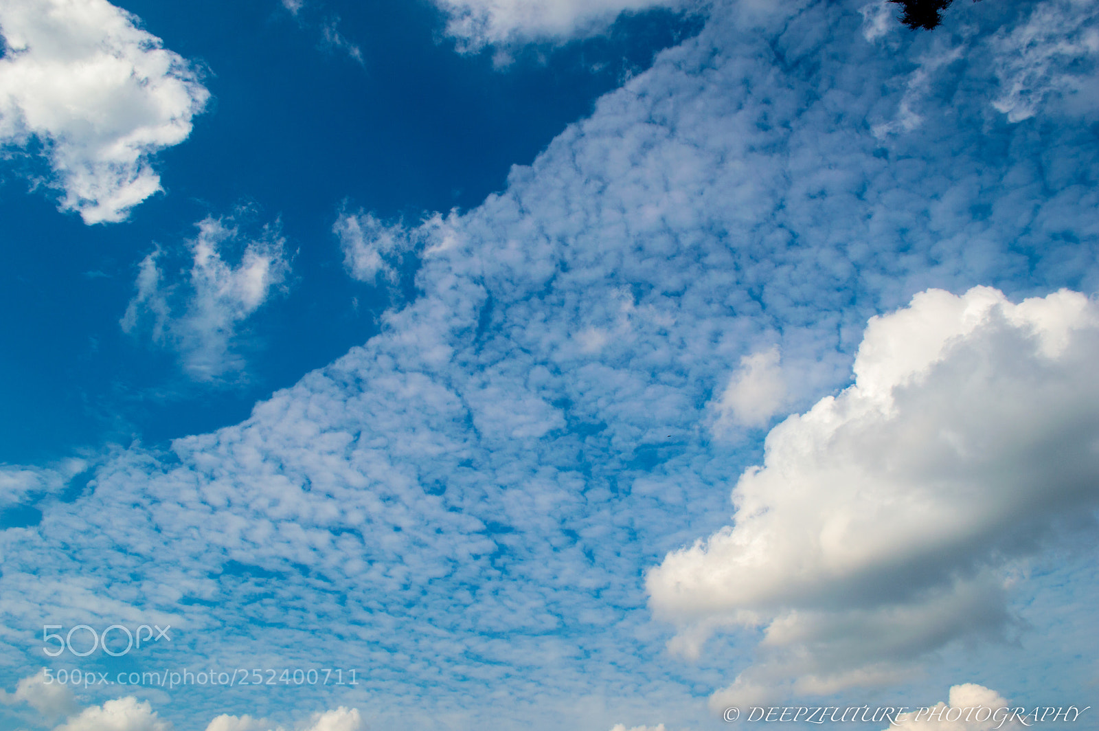 Nikon D3200 sample photo. 08 photography