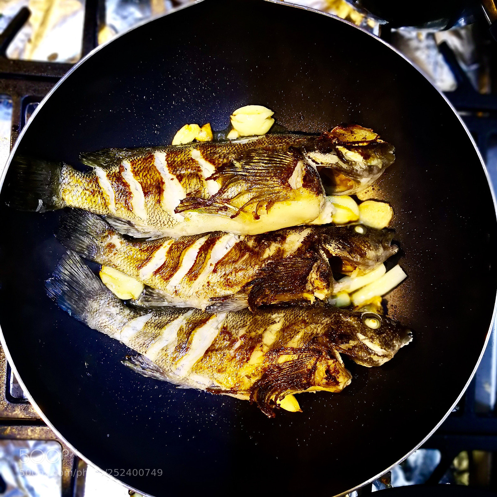 HUAWEI Mate 10 sample photo. Fish photography