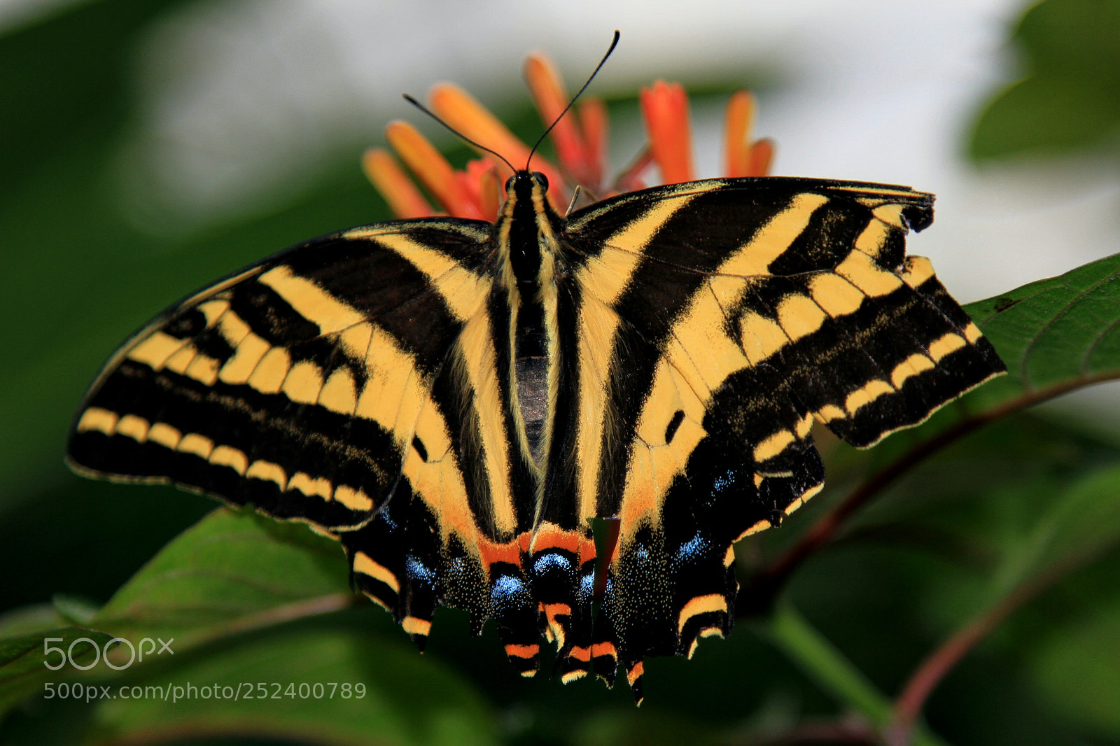 Canon EOS 7D + Canon EF 24-105mm F4L IS USM sample photo. Incomplete and beautiful photography