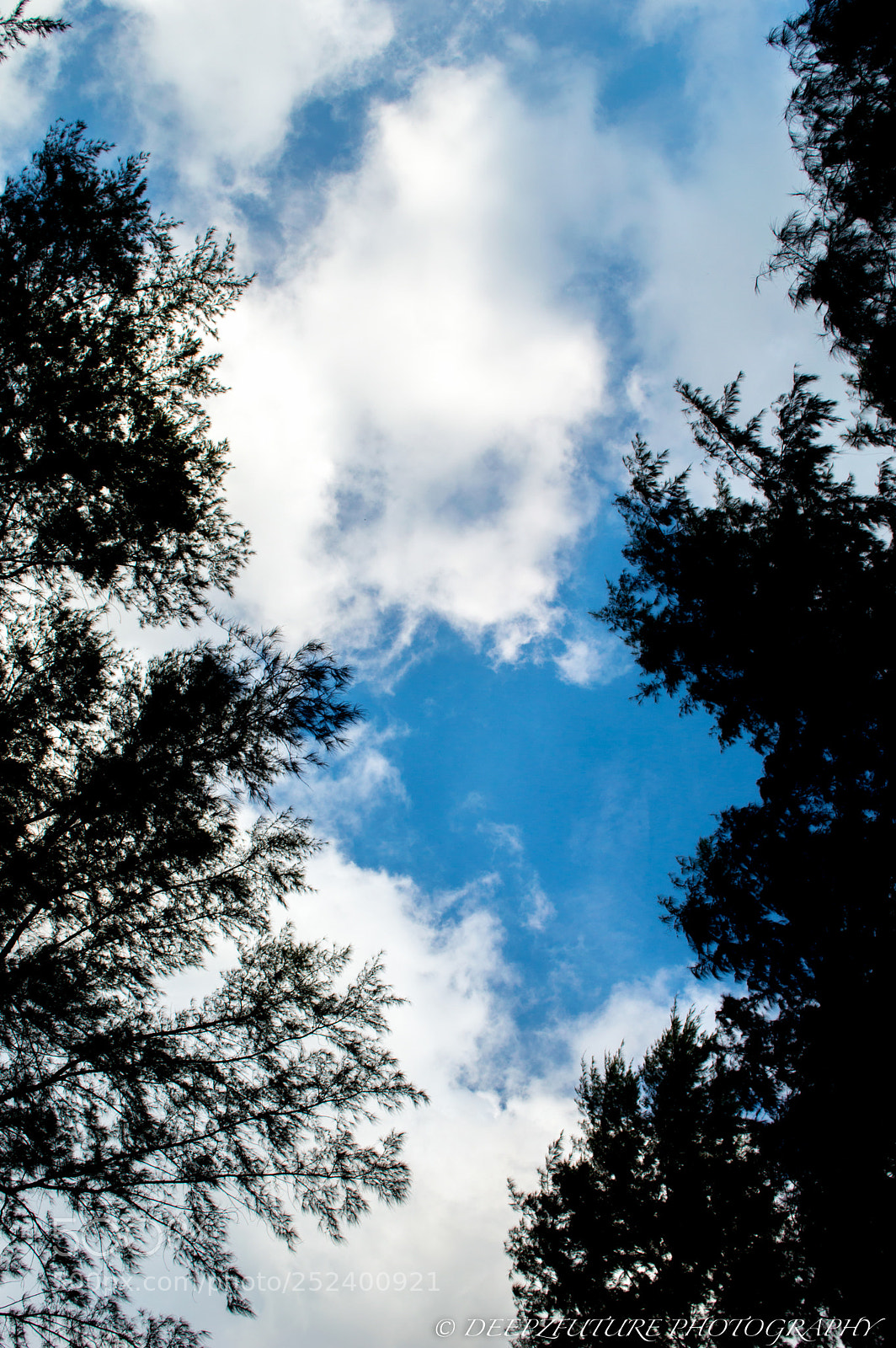 Nikon D3200 sample photo. 10 photography