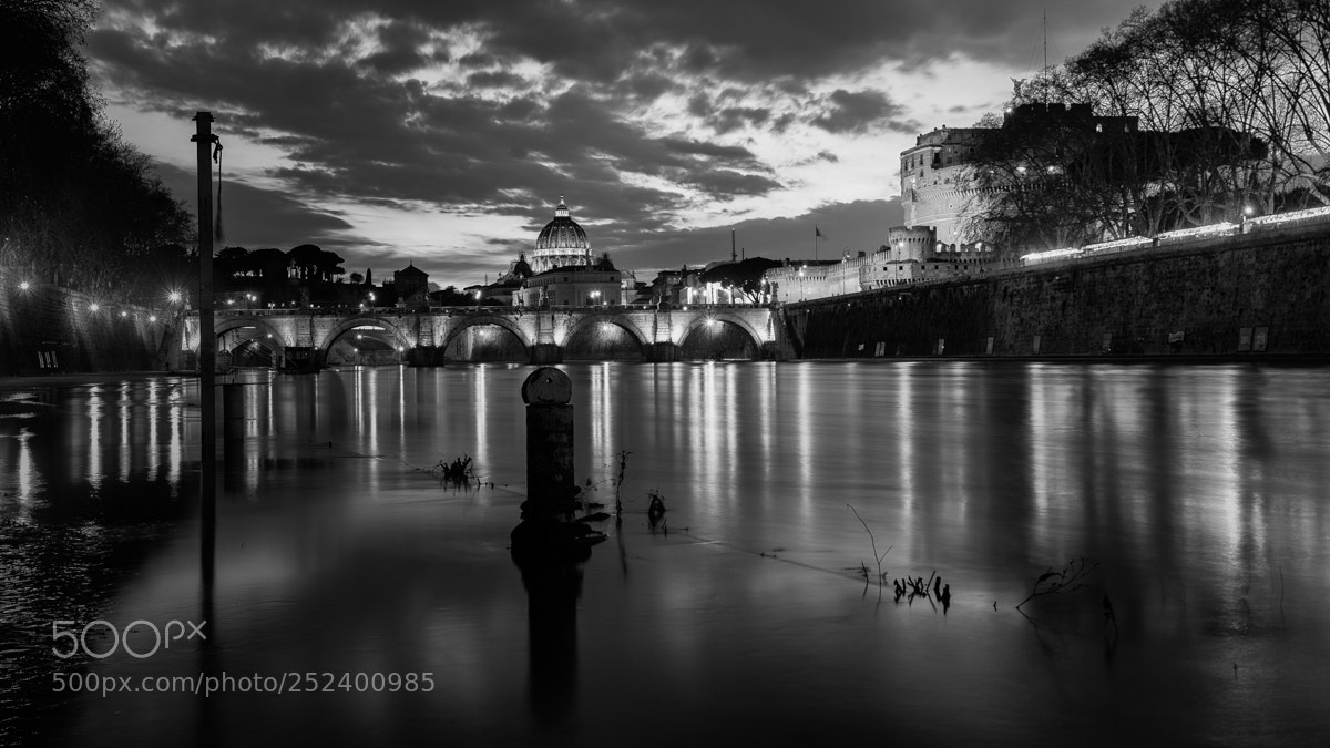 Nikon D800 sample photo. Vatican photography