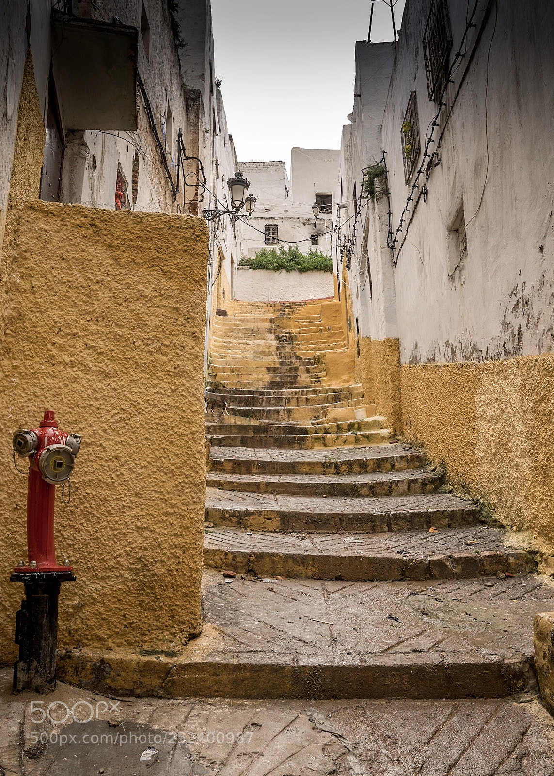 Sony a7R III sample photo. Les ruelles jaunes de photography
