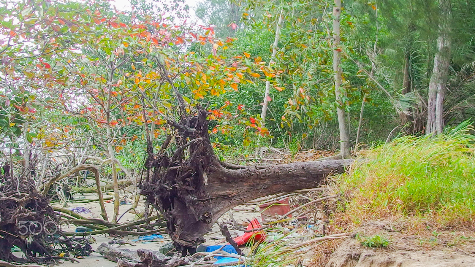 Olympus XZ-2 iHS sample photo. 17 photography