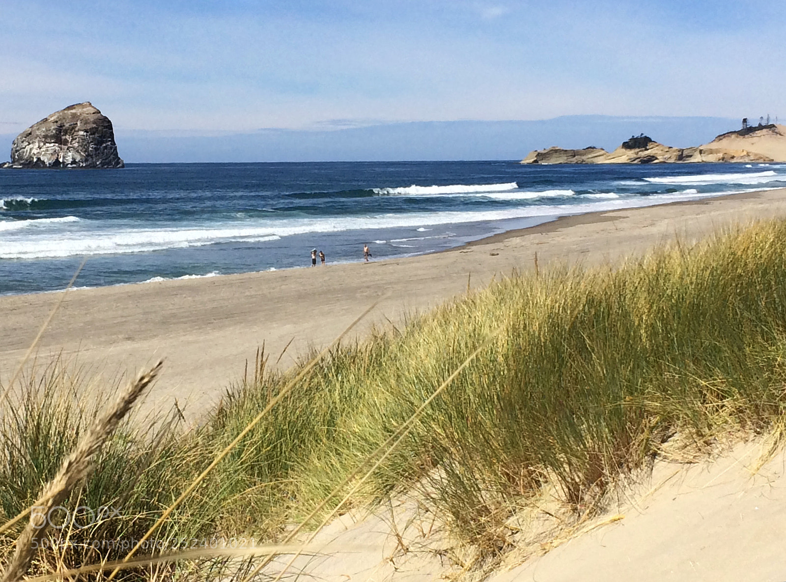 Apple iPhone 5s sample photo. Coastal grass photography