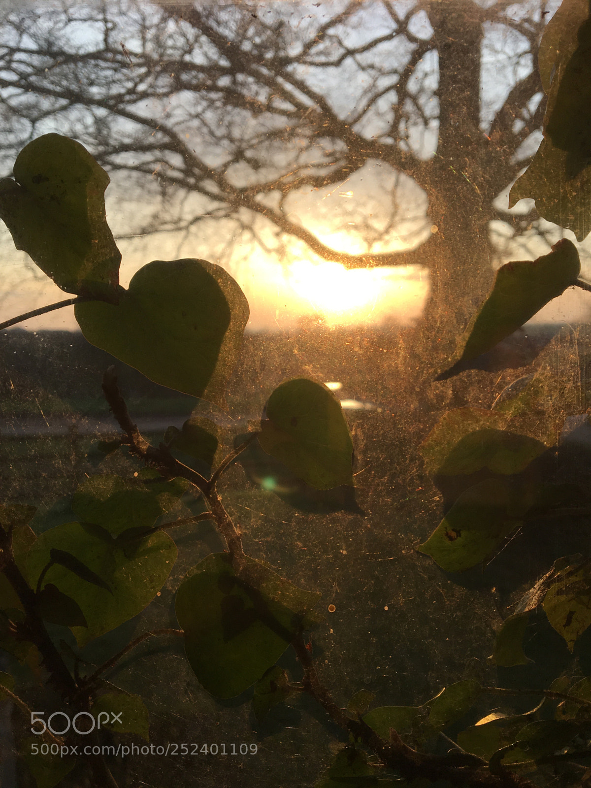 Apple iPhone 6s sample photo. Sunrise spring ‘18 photography