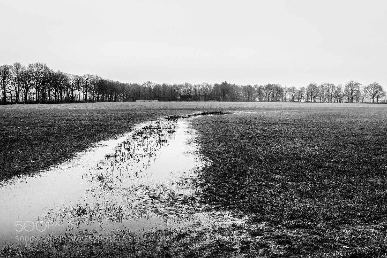 Nikon D7000 sample photo. Sadness on the prarie photography