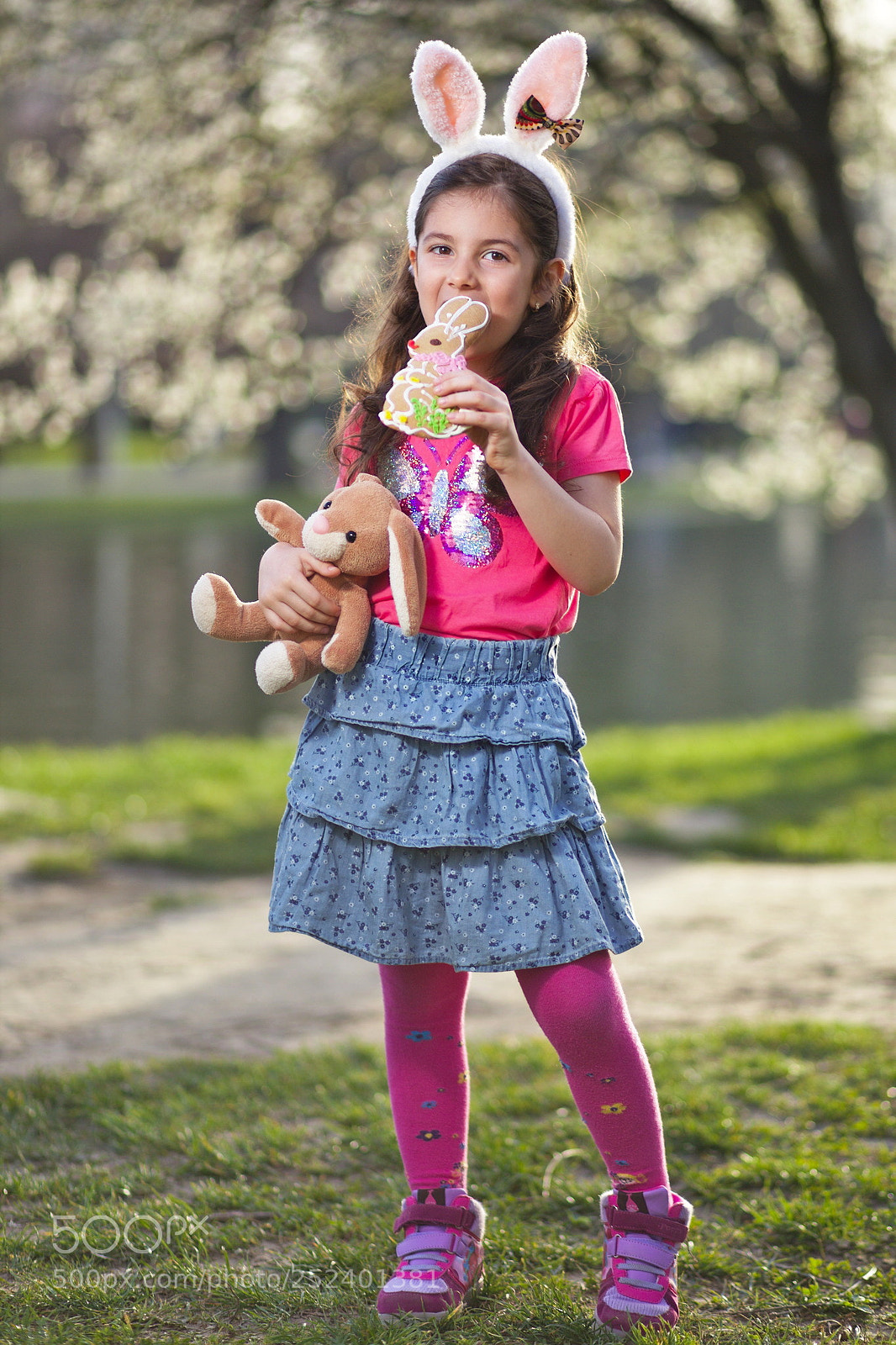 Canon EF 85mm F1.8 USM sample photo. Bunniez photography