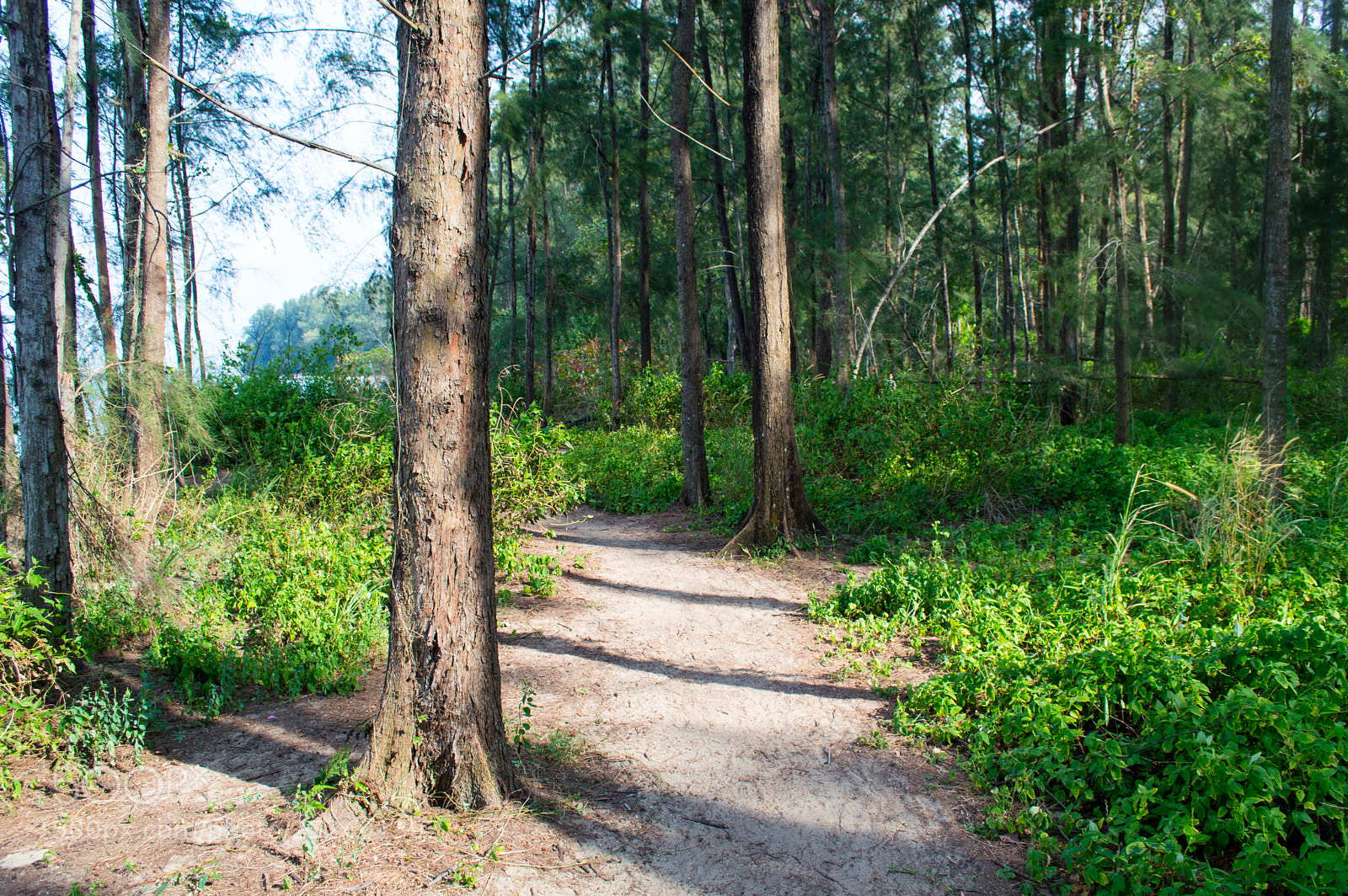 Nikon D3200 sample photo. 25 photography