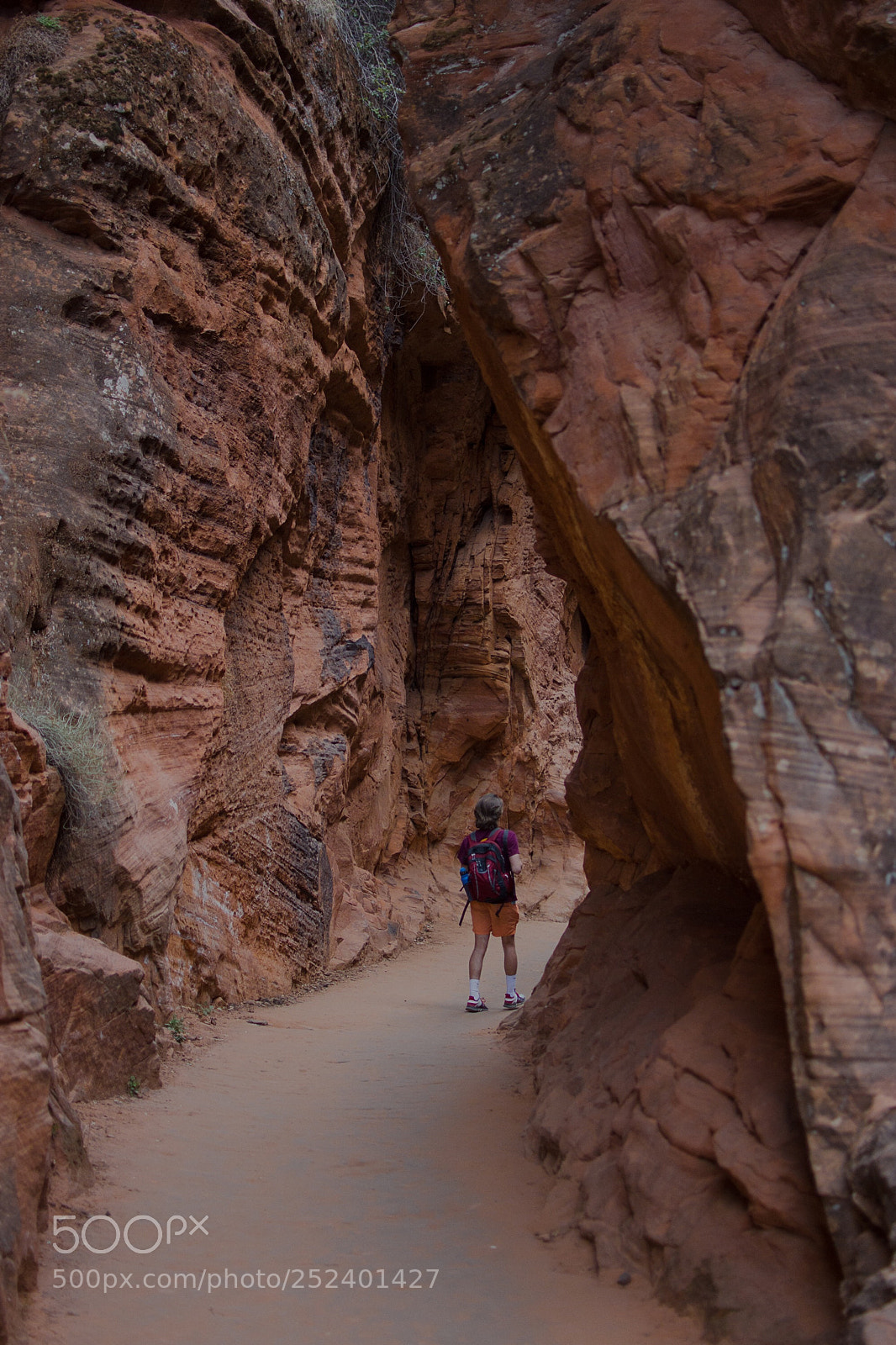 Nikon D7200 sample photo. Sunday stroll photography