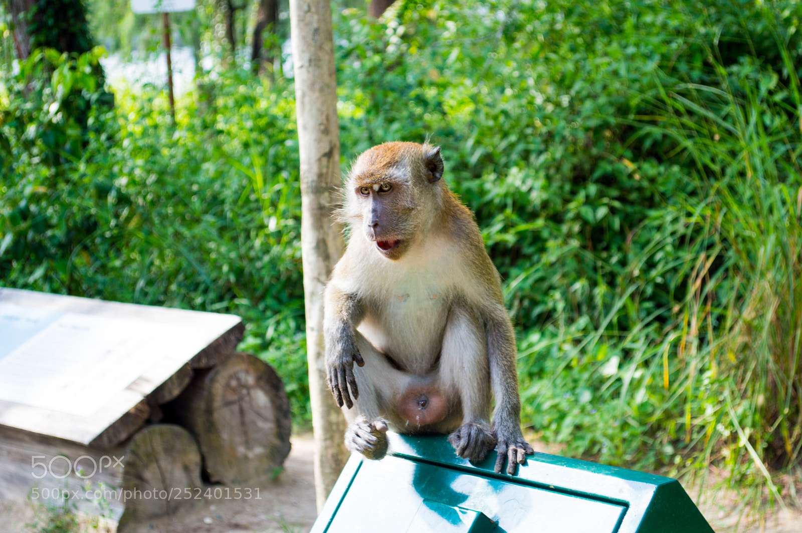 Nikon D3200 sample photo. 28 photography