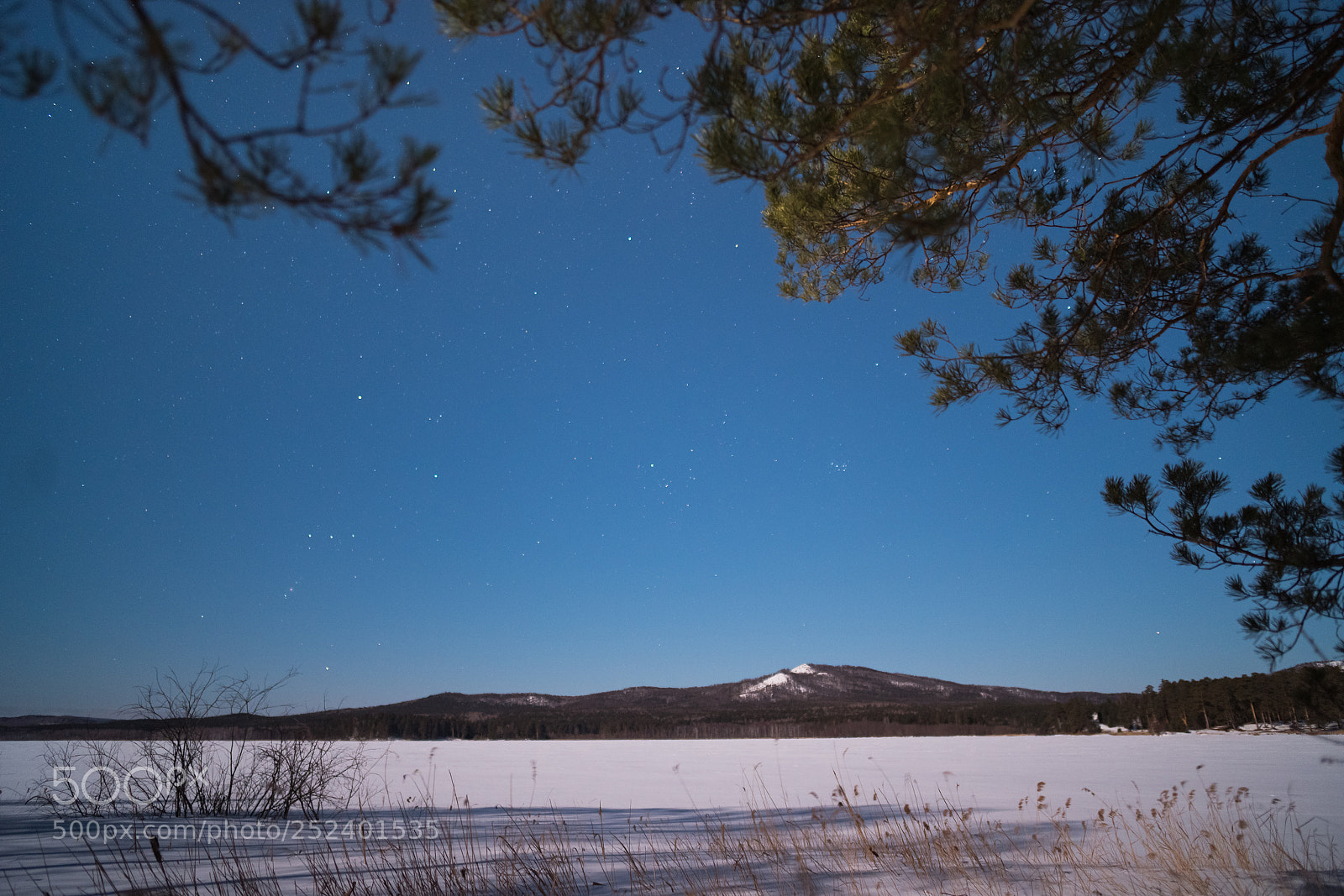 Pentax K-1 sample photo. (из ) photography