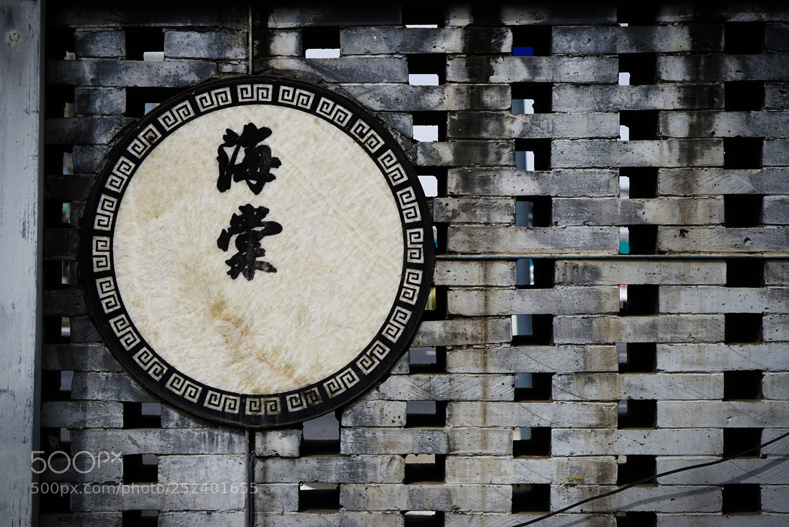 Sony a6000 sample photo. 海棠 photography