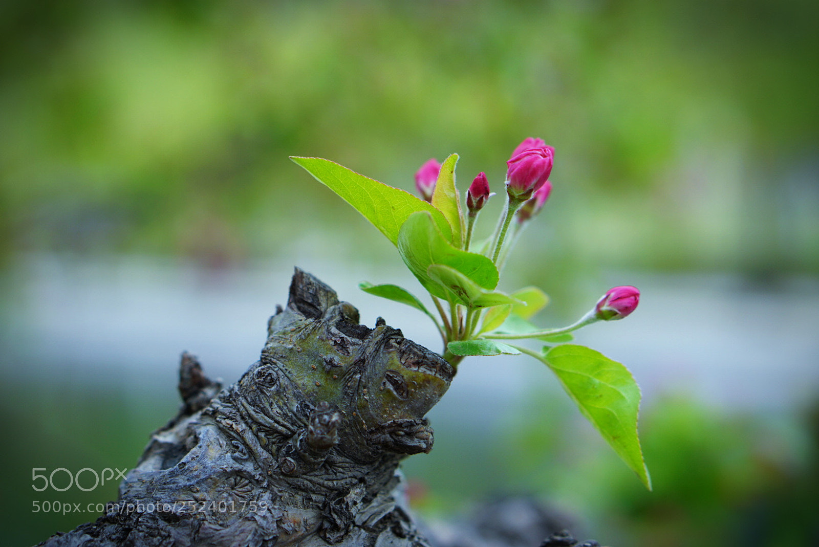 Sony a6000 sample photo. After strom photography