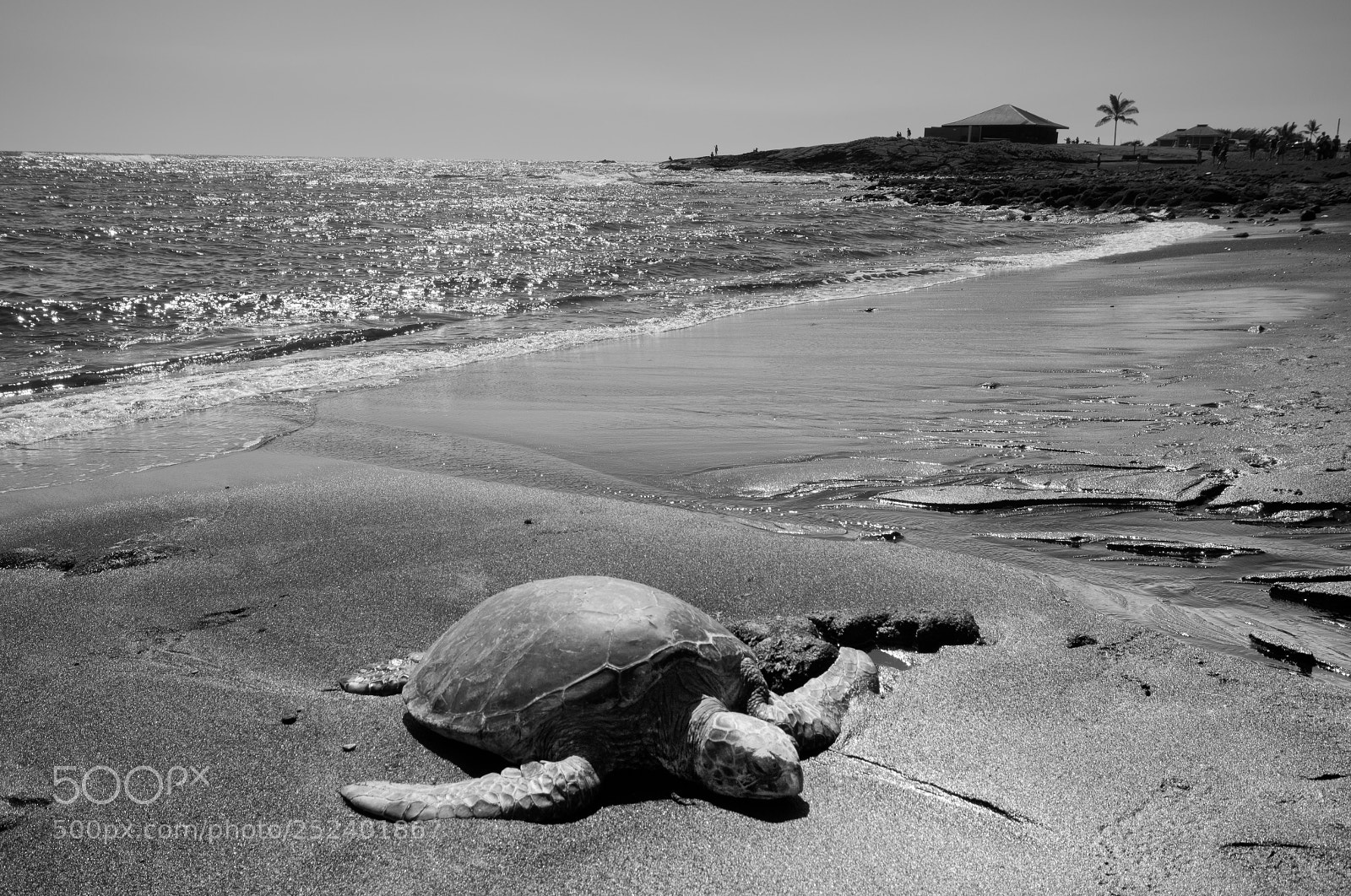 Nikon D5000 sample photo. Coastal series photography