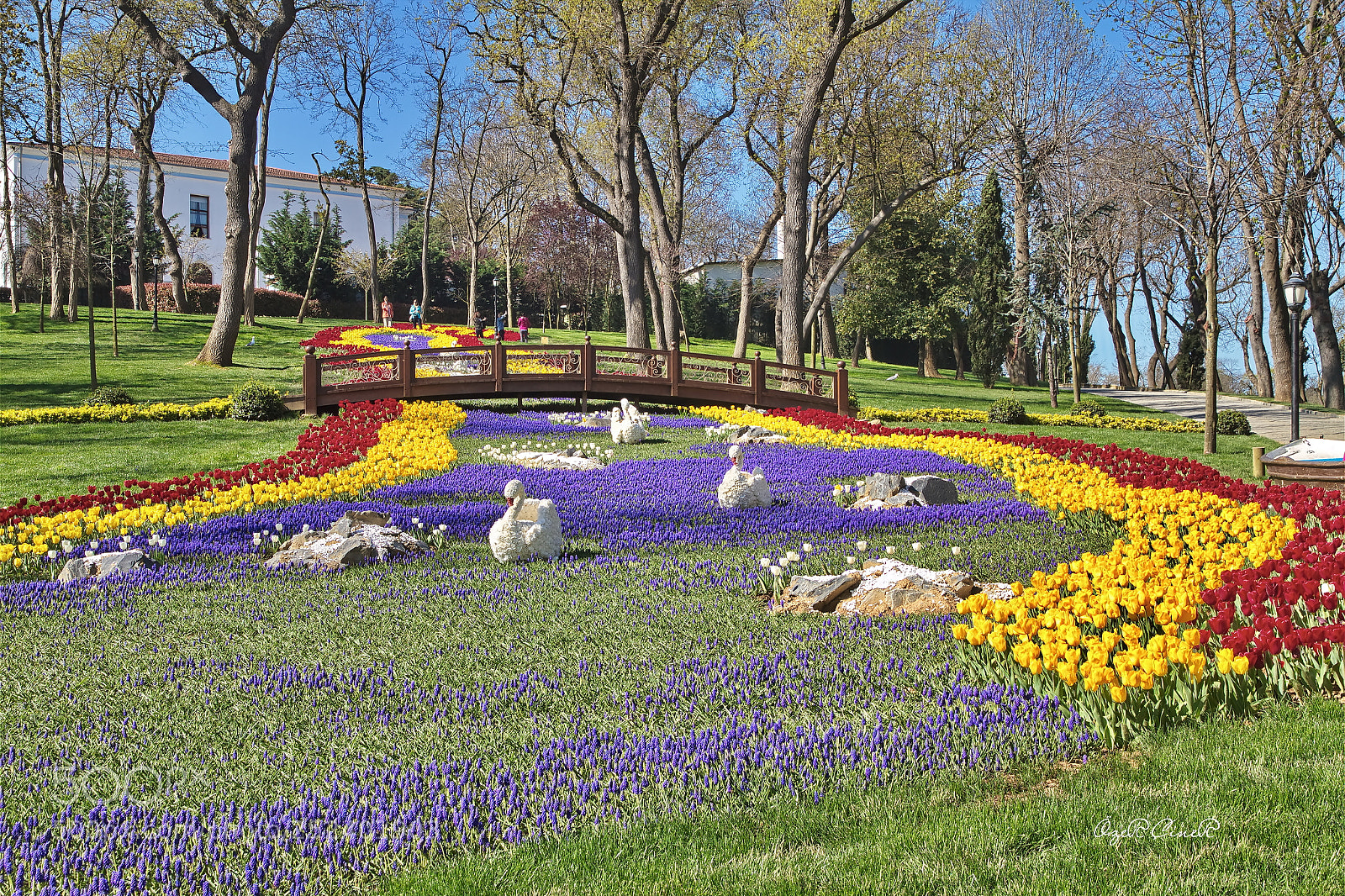 Canon EOS 7D sample photo. From istanbul with love photography