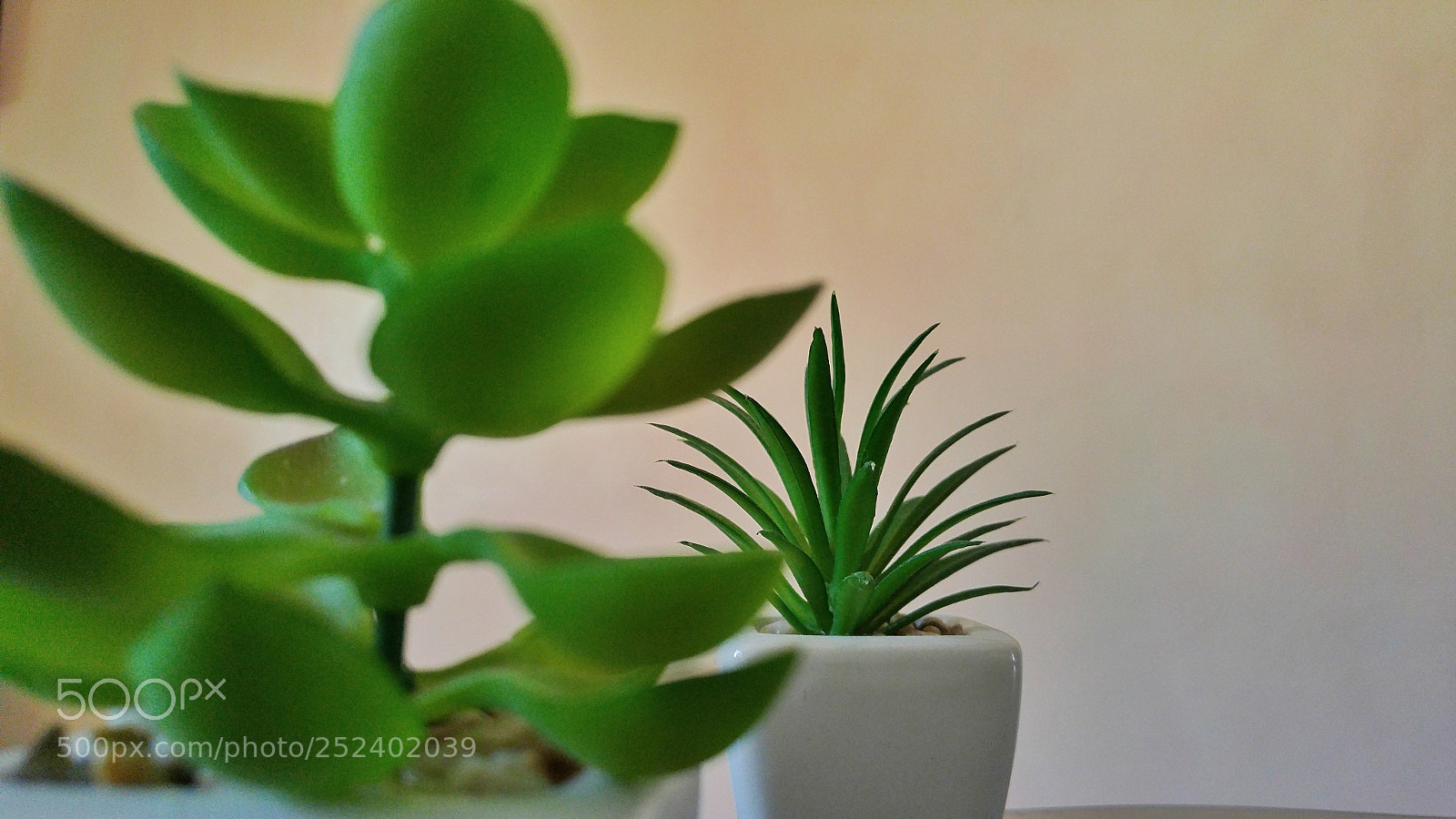 LG G4 sample photo. Untitled photography