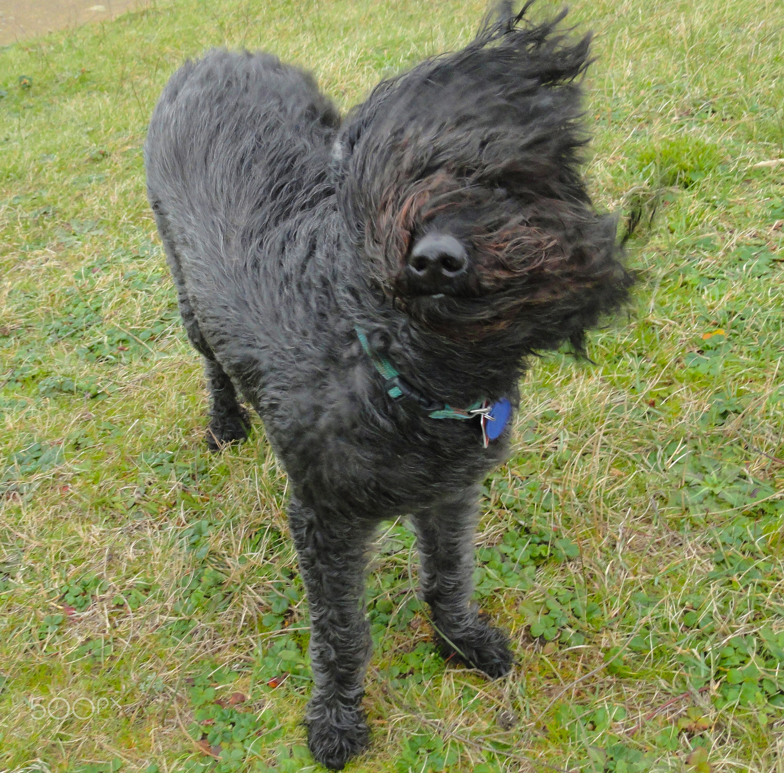 Sony Cyber-shot DSC-H55 sample photo. Windy day at bandon photography