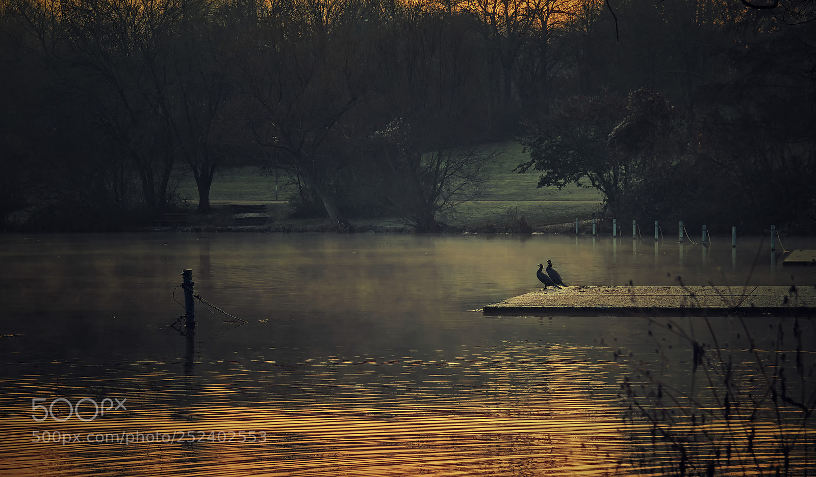 Nikon D7100 sample photo. Gone fishing photography