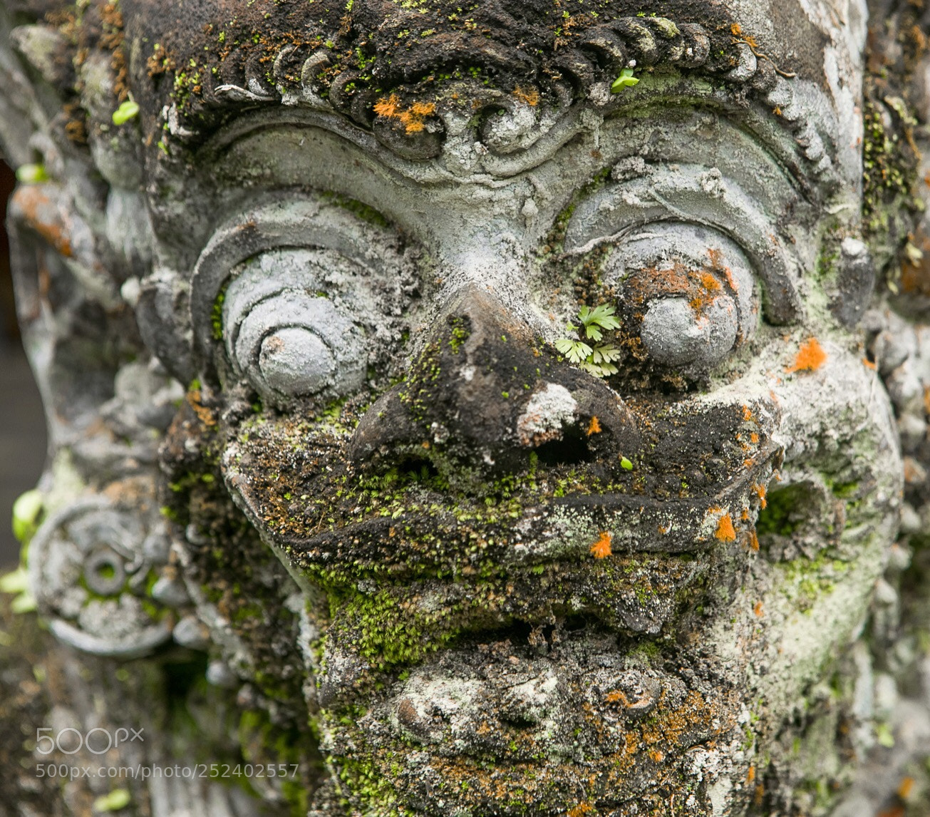 Canon EOS 5D Mark IV sample photo. The eyes - bali photography