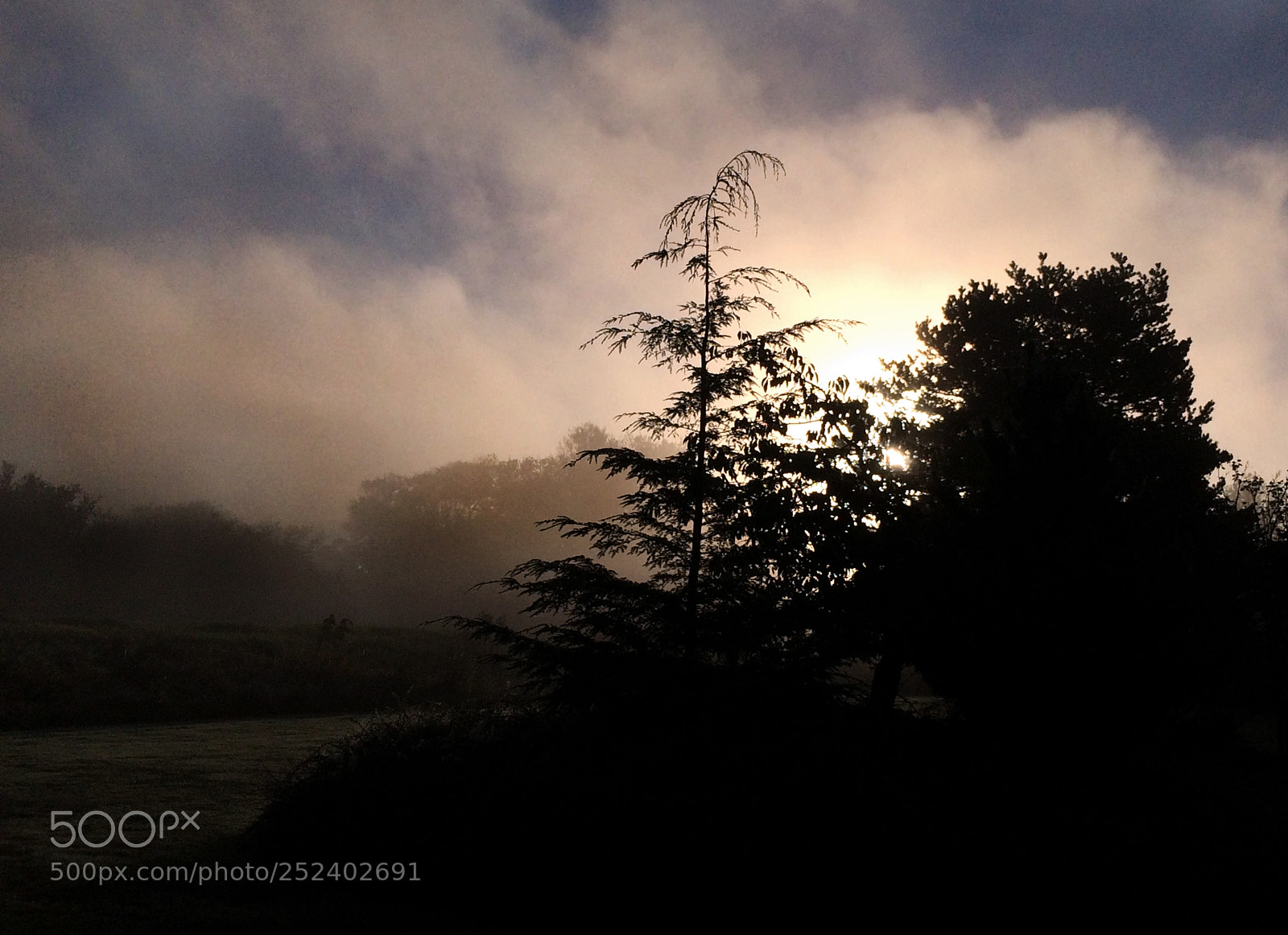 Apple iPhone 5s sample photo. Tillamook morning sun in photography