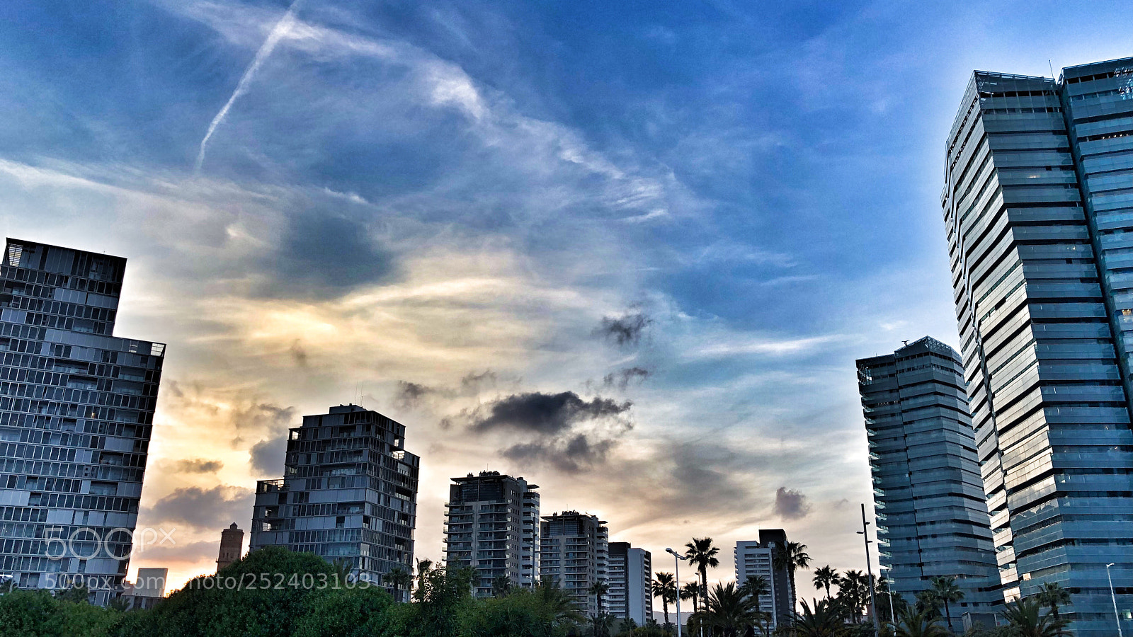 Apple iPhone 8 Plus sample photo. Untitled photography