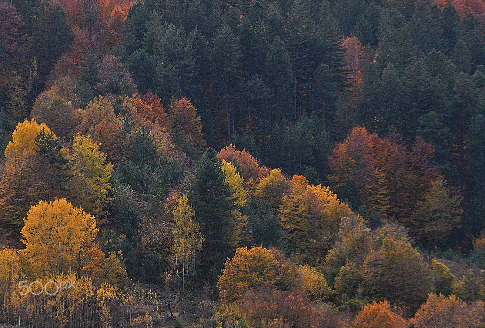 Nikon D5000 sample photo. ** photography