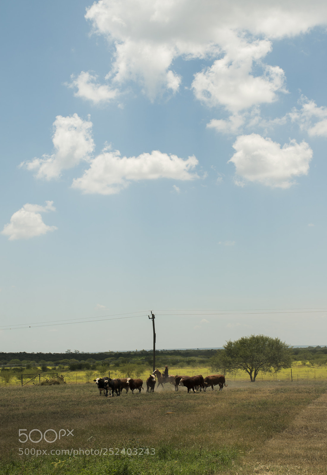 Nikon D5500 sample photo. Reunión photography