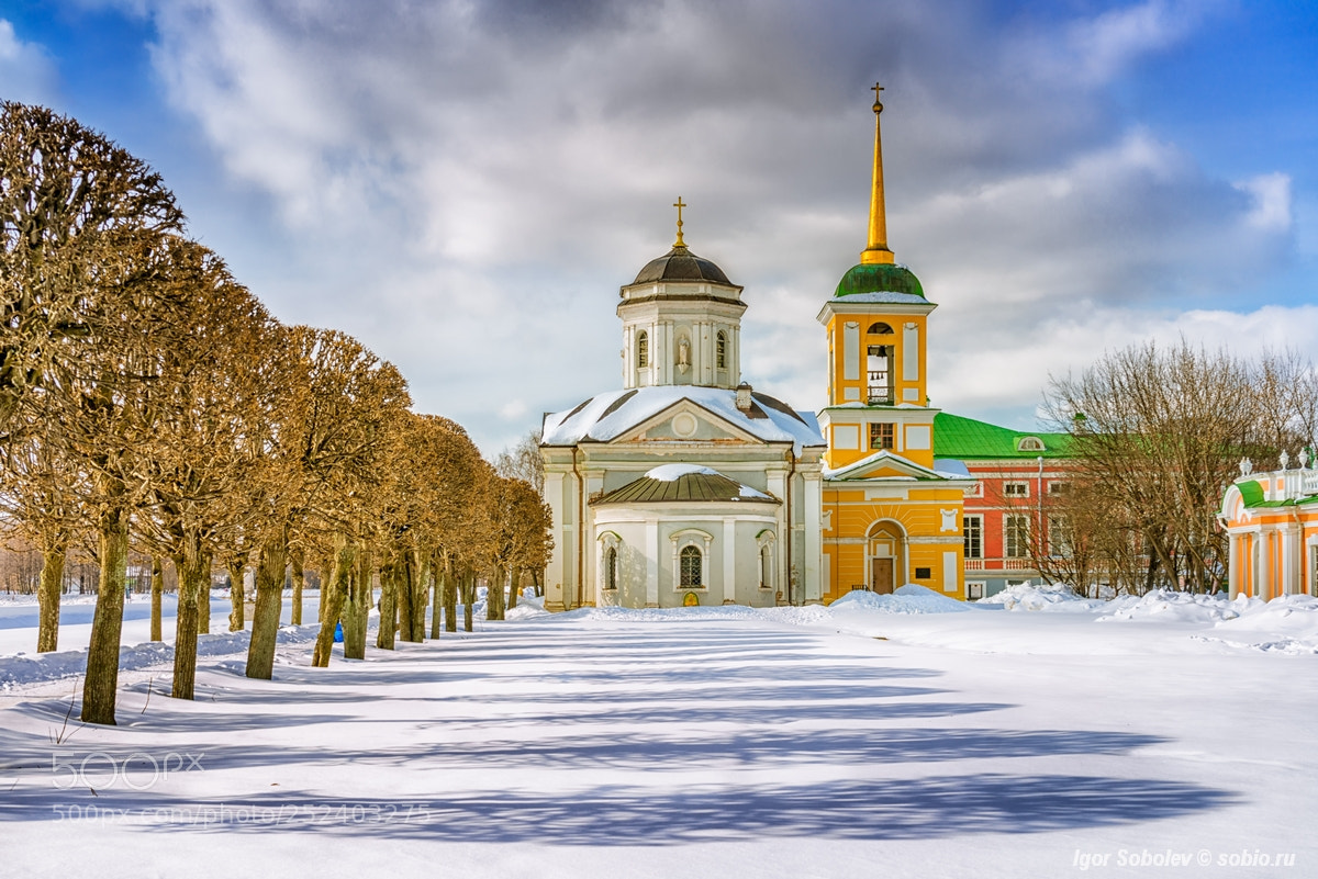 Sony a7R sample photo. Kuskovo park in winter photography