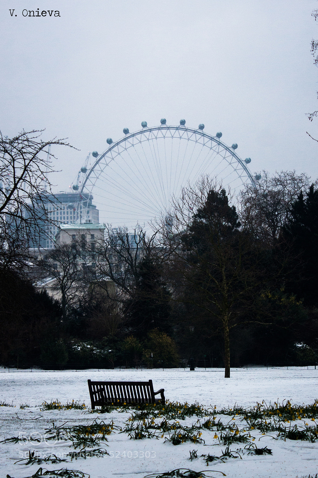 Canon EOS 500D (EOS Rebel T1i / EOS Kiss X3) sample photo. London eye desde st photography