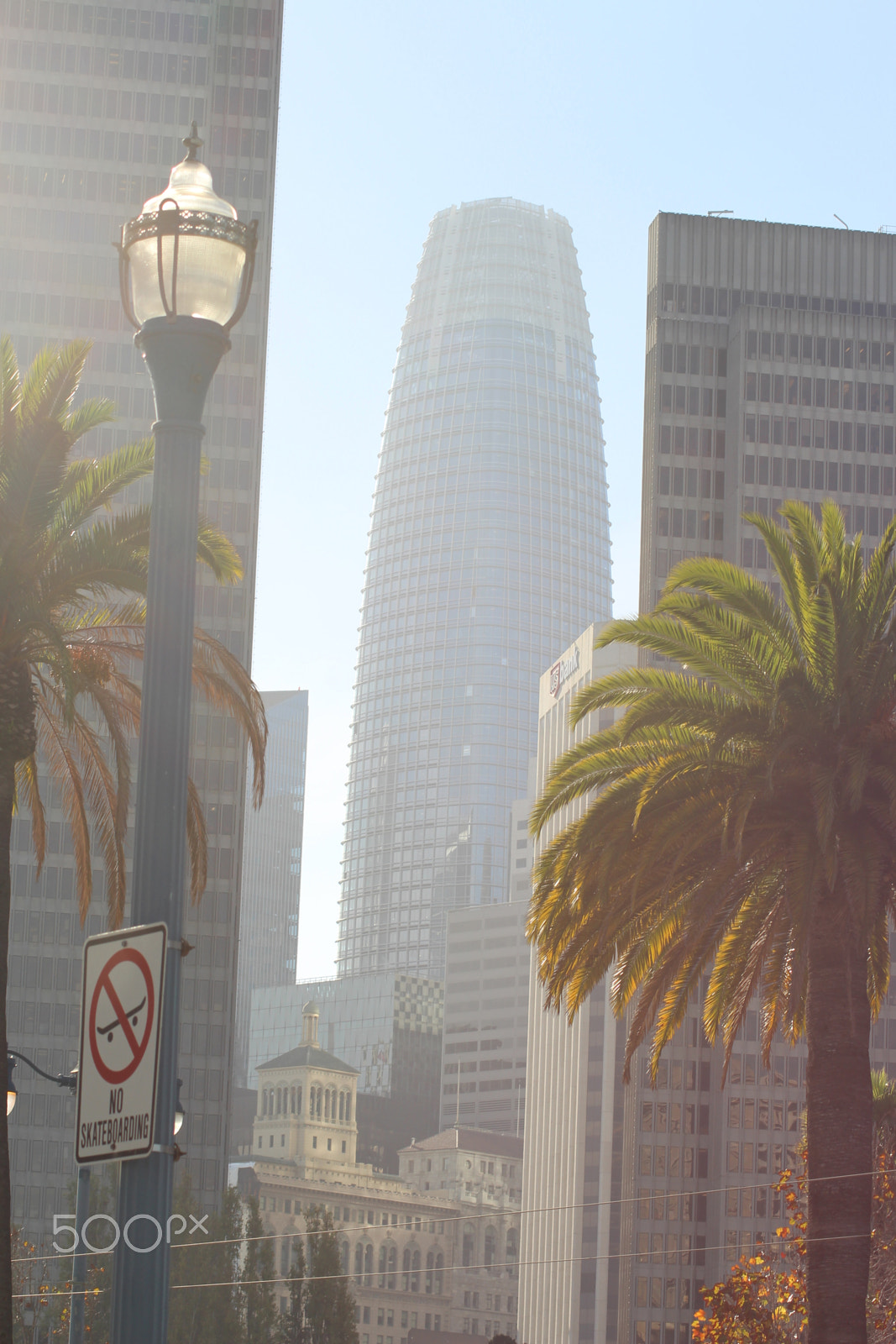 Canon EOS 700D (EOS Rebel T5i / EOS Kiss X7i) sample photo. Sunny san fransico day. photography