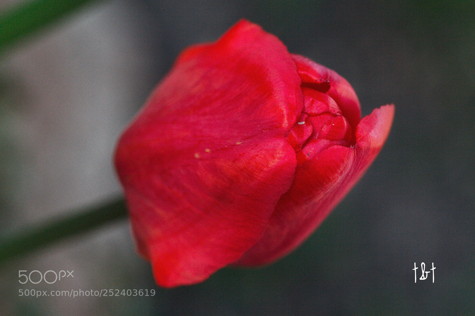 Canon EOS 7D sample photo. Untitled photography