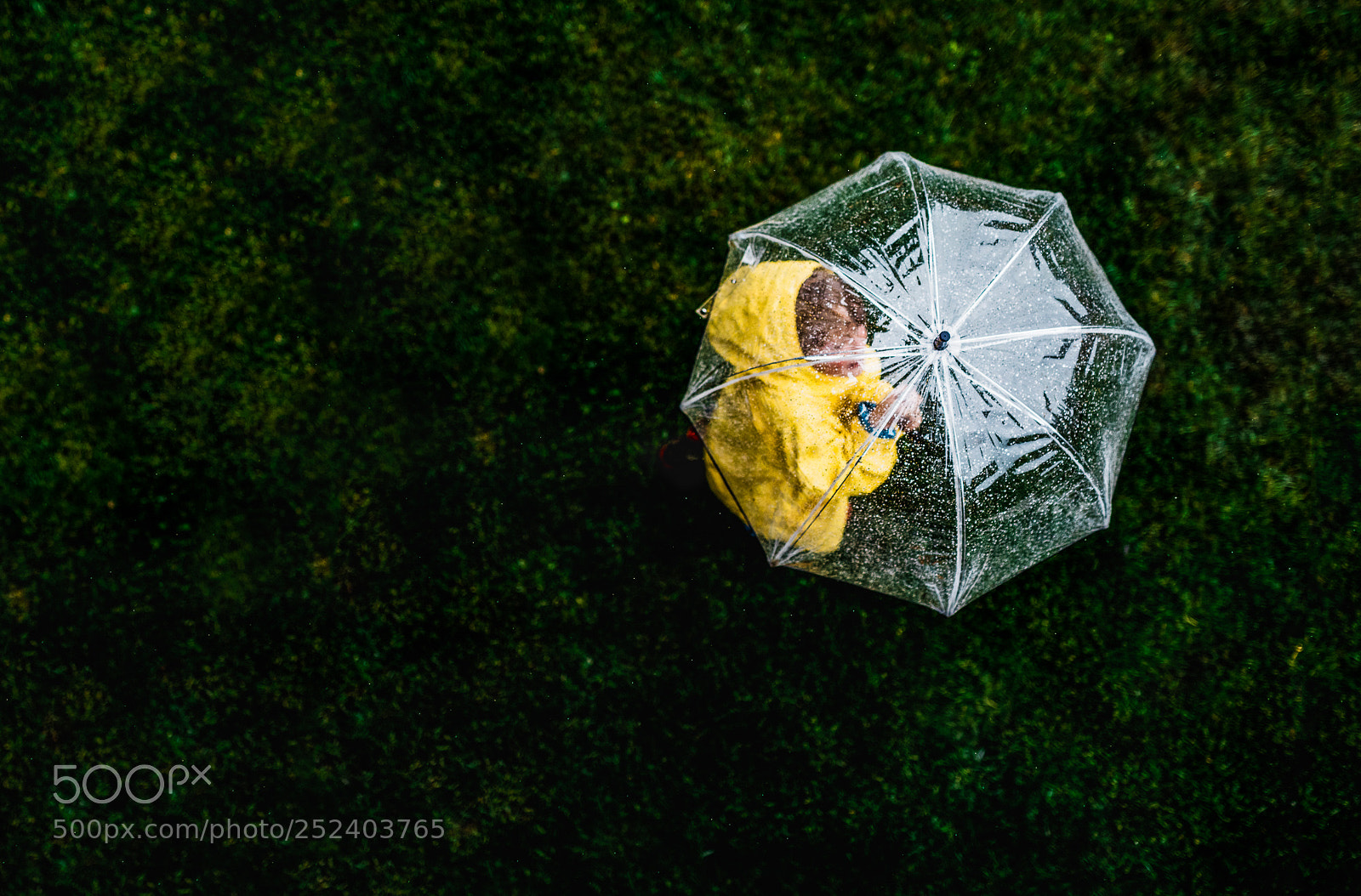 Canon EOS 5D Mark IV sample photo. Summer rains photography