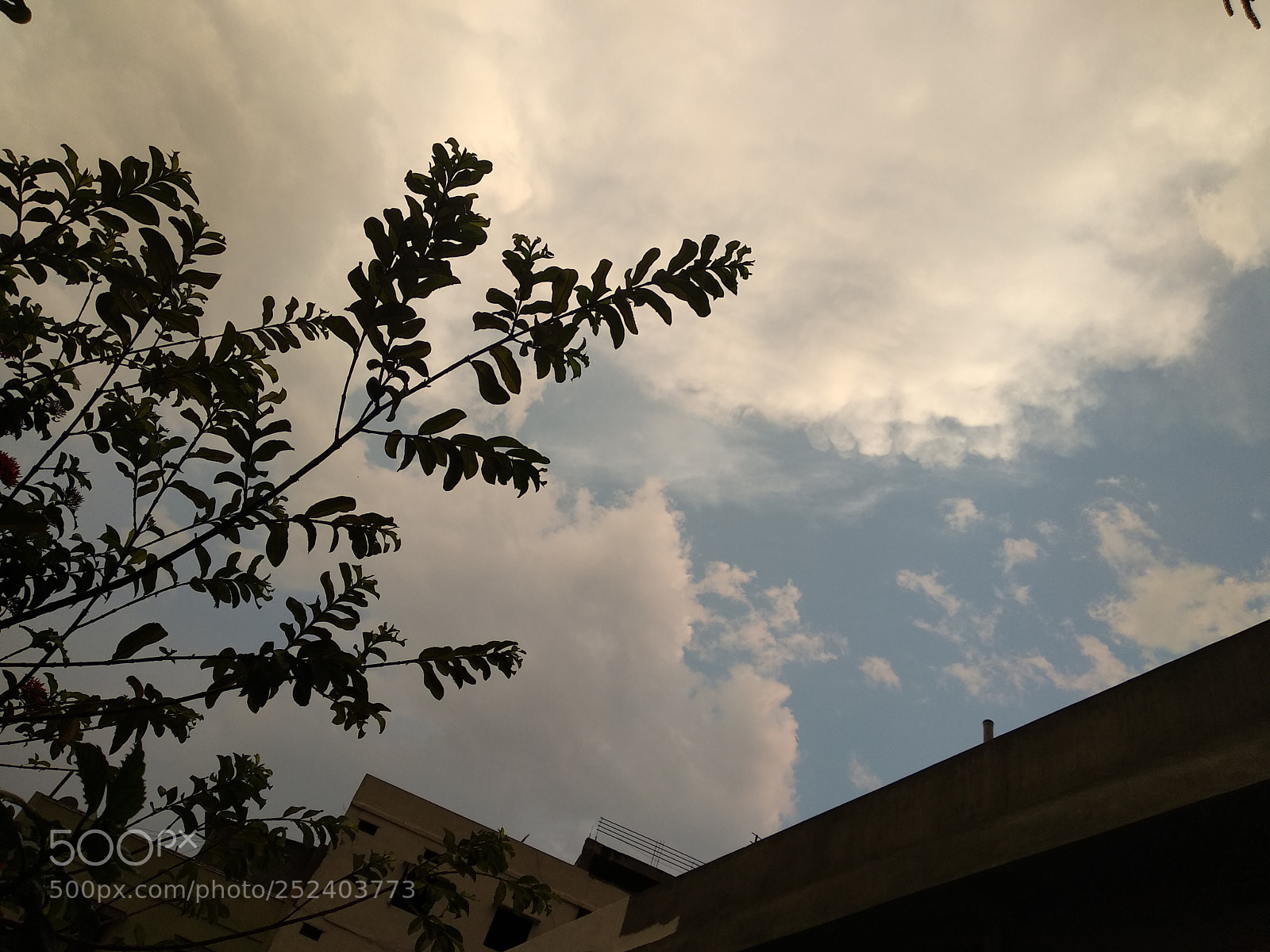 Xiaomi Mi A1 sample photo. Cloudy photography
