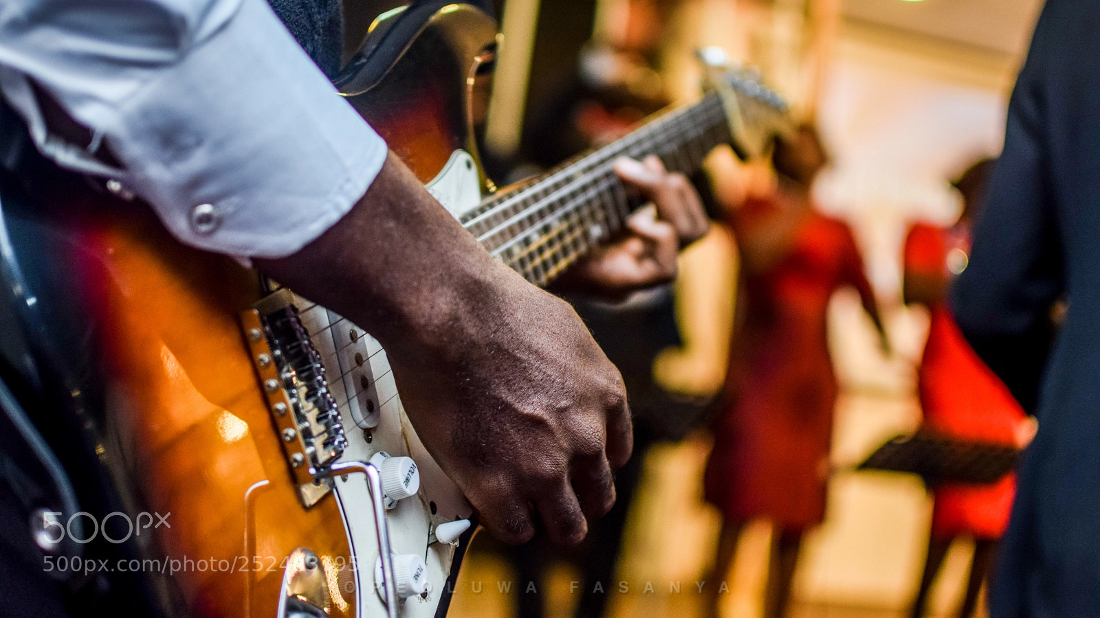 Nikon D5300 sample photo. Bass photography