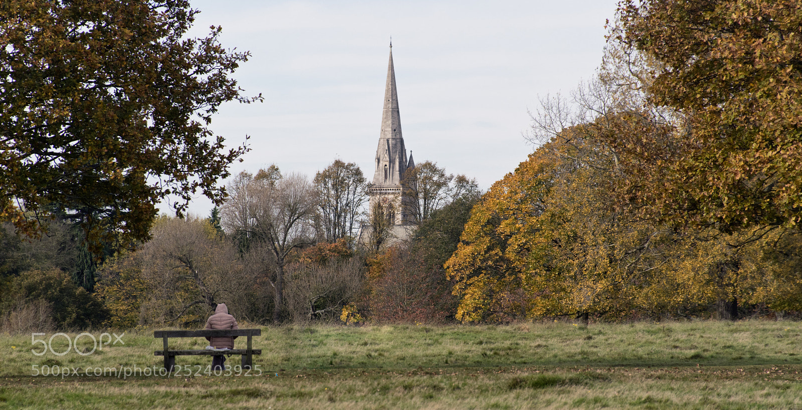 Nikon D5500 sample photo. Waitingonrichmondpark photography