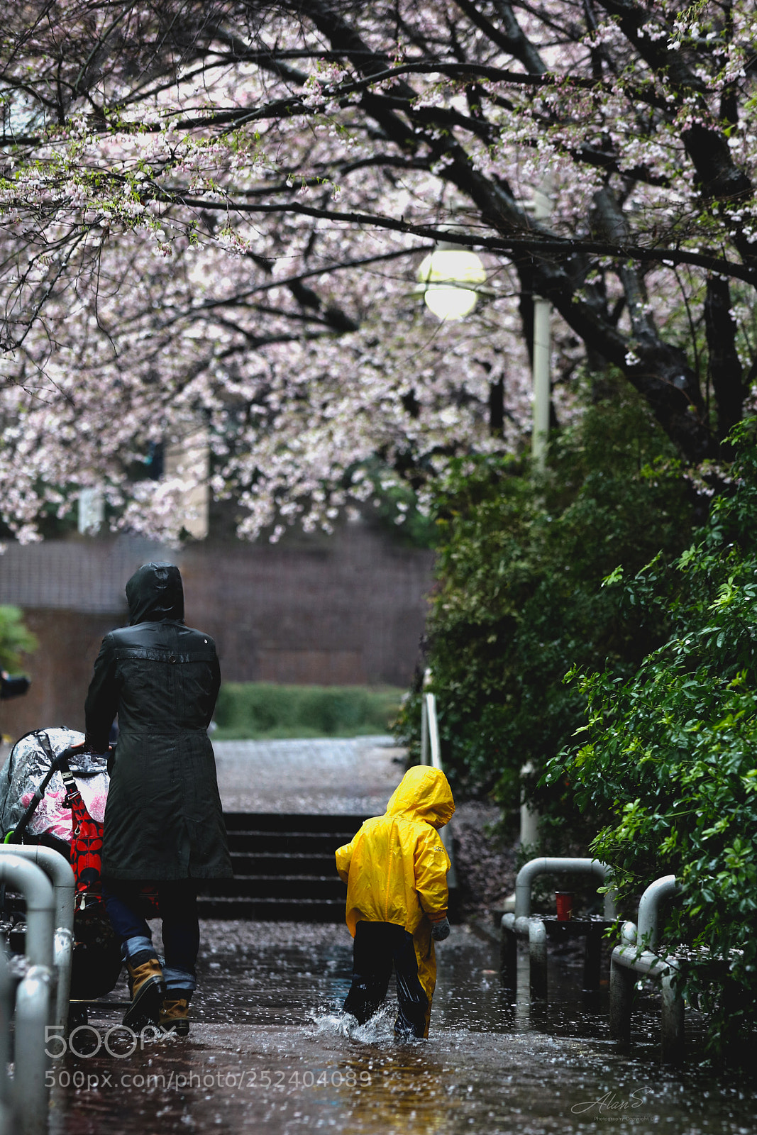 Canon EOS 5DS R sample photo. Spring vancouver photography