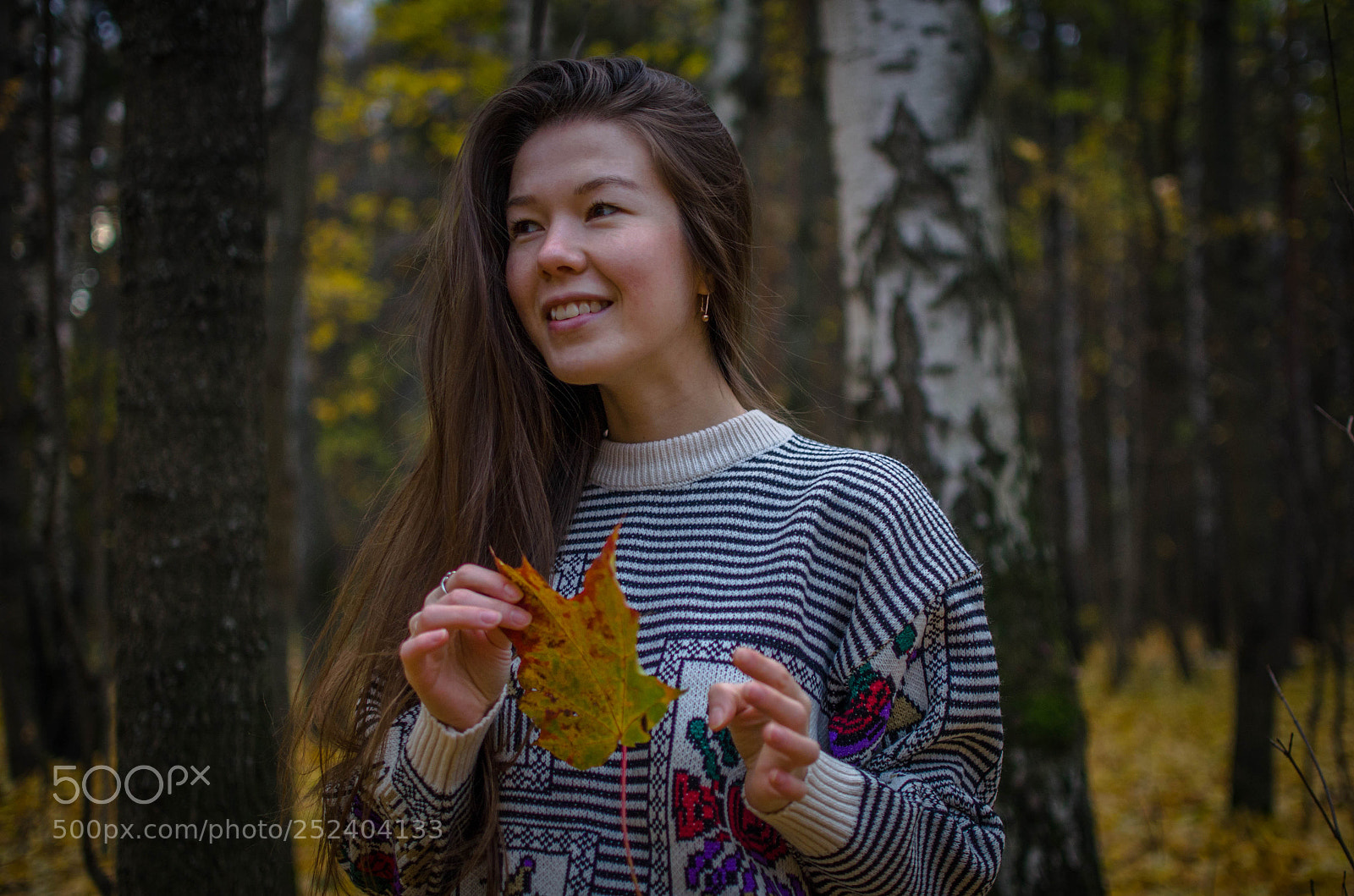 Nikon D7000 sample photo. Autumn mood photography