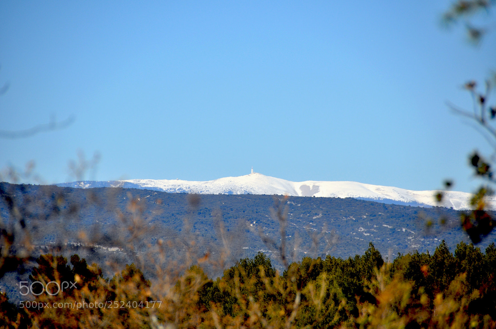 Nikon D90 sample photo. Le g ant de photography