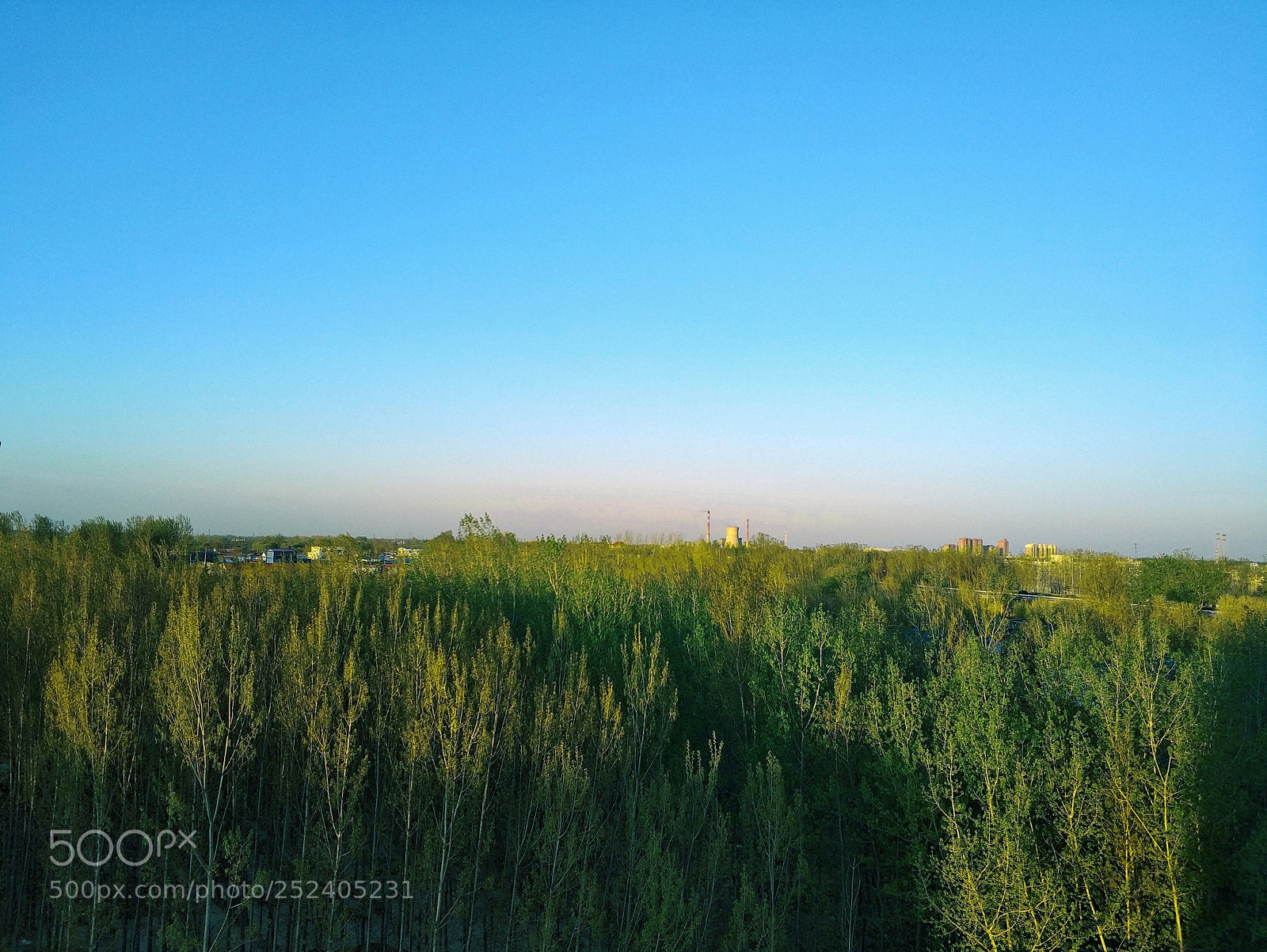 Xiaomi MI6 sample photo. Untitled photography