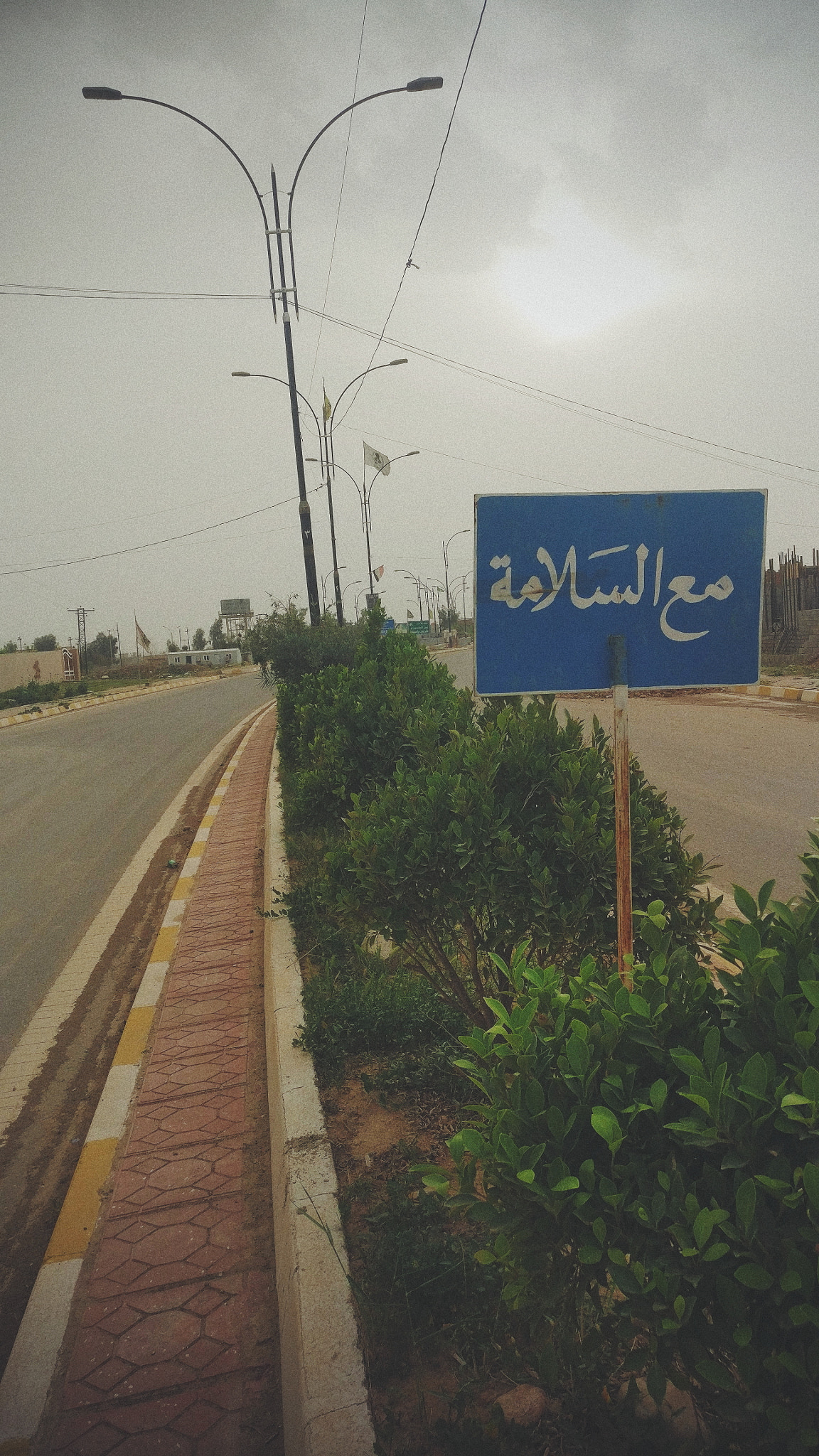 OnePlus A3010 sample photo. على طريق السجاد 💚 photography