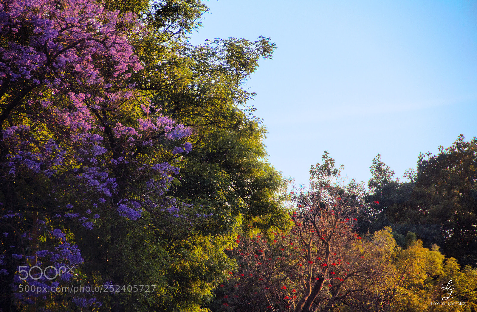 Canon EOS 60D sample photo. Nature in color photography