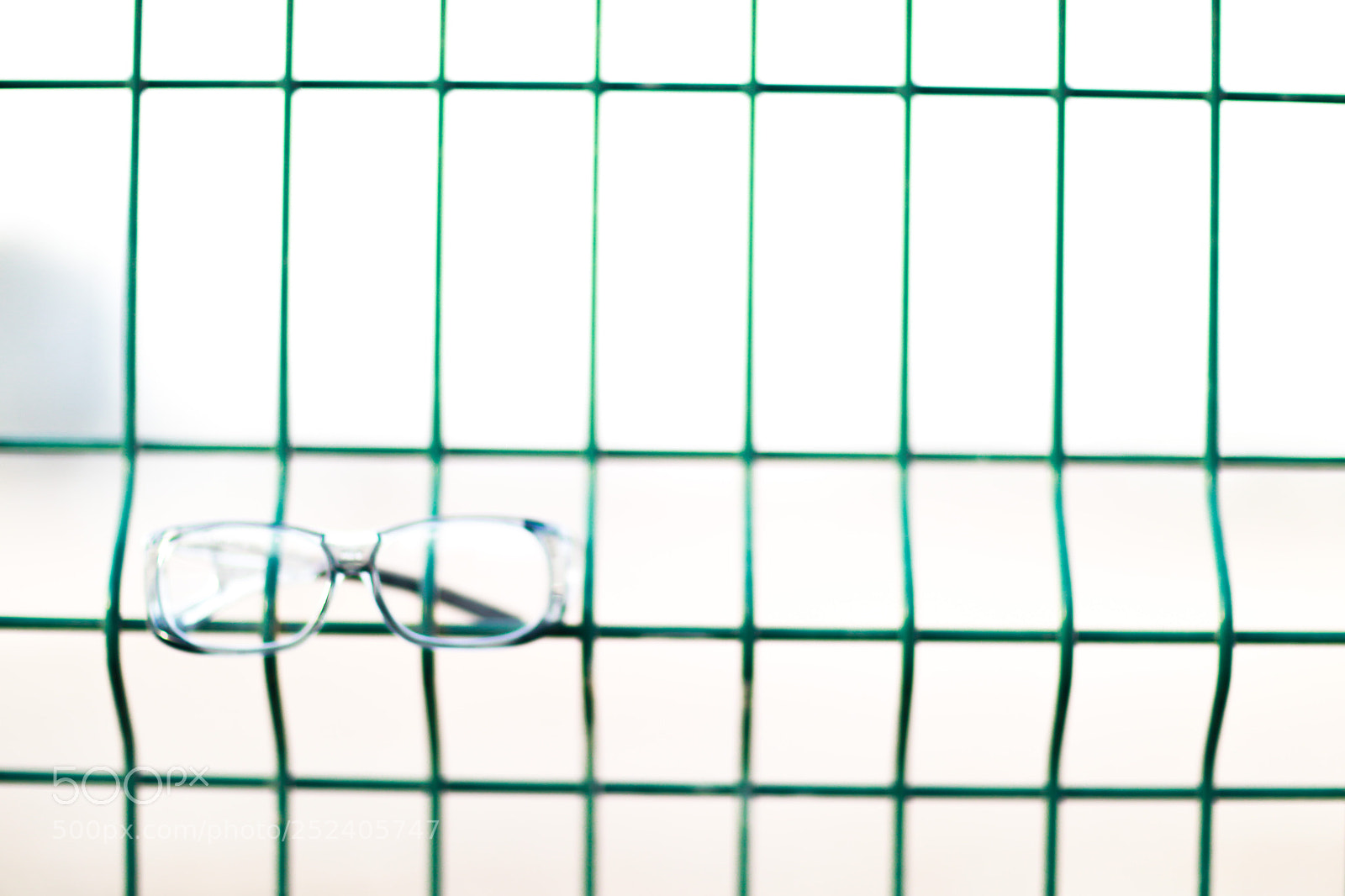 Canon EOS 5D Mark IV sample photo. Safety glasses and fence photography