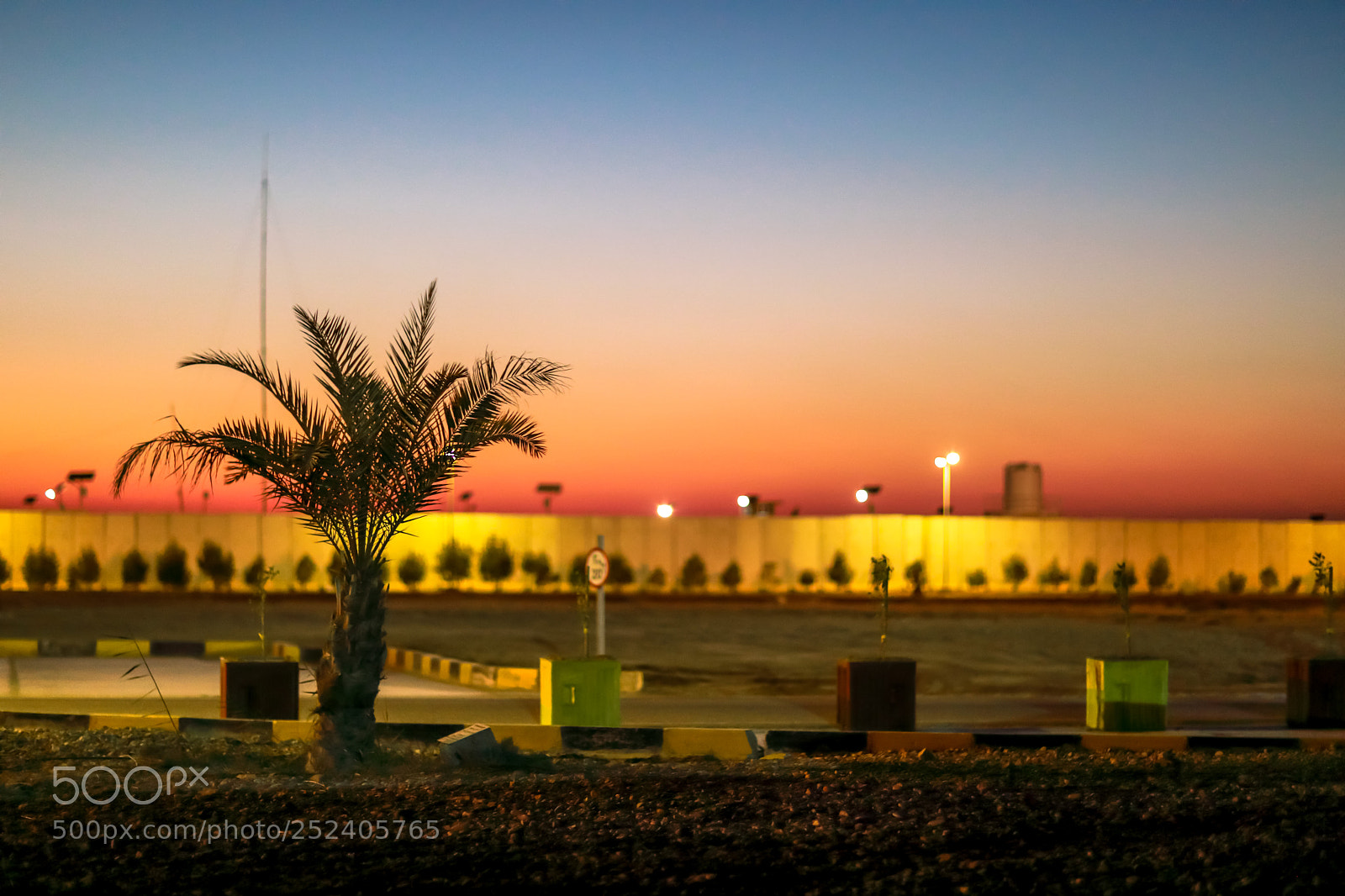 Canon EOS 5D Mark IV sample photo. Palm tree over sunset photography